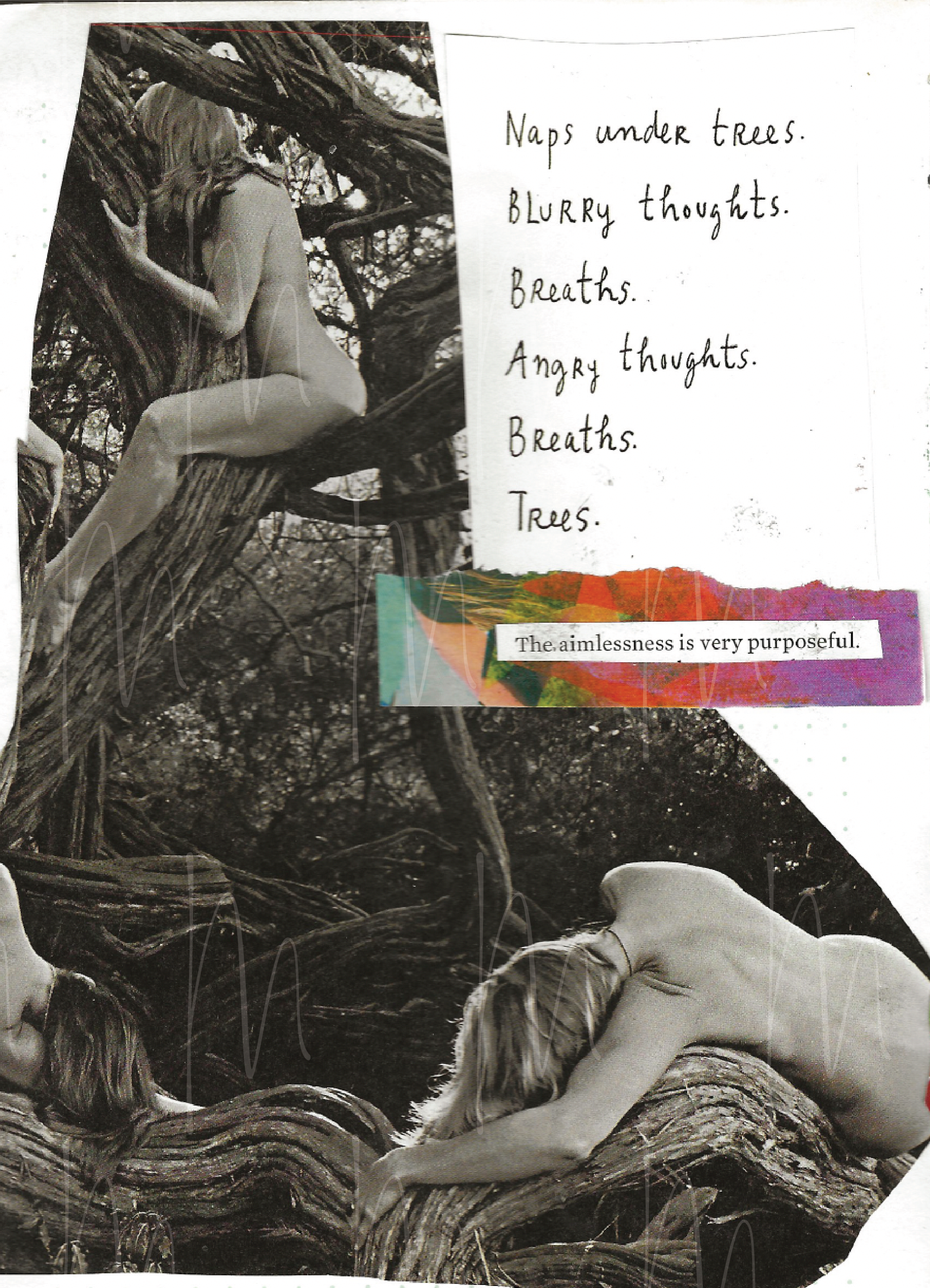 naps under trees - framed