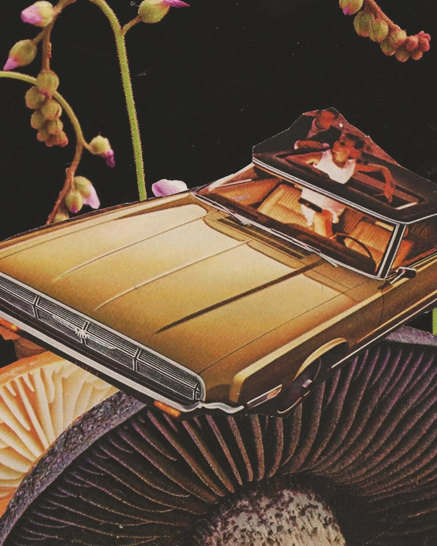 honey, we shrunk the car again.⁣
⁣
new collages dropping this weekend 🙌⁣
⁣
⁣
⁣
⁣
⁣
⁣
⁣
⁣
#collage #collageart #collageartwork #collagework #vintagecollage #surrealart #surrealism #surrealcollage #surrealcollageart #calgaryarts #calgaryartist #mixedm