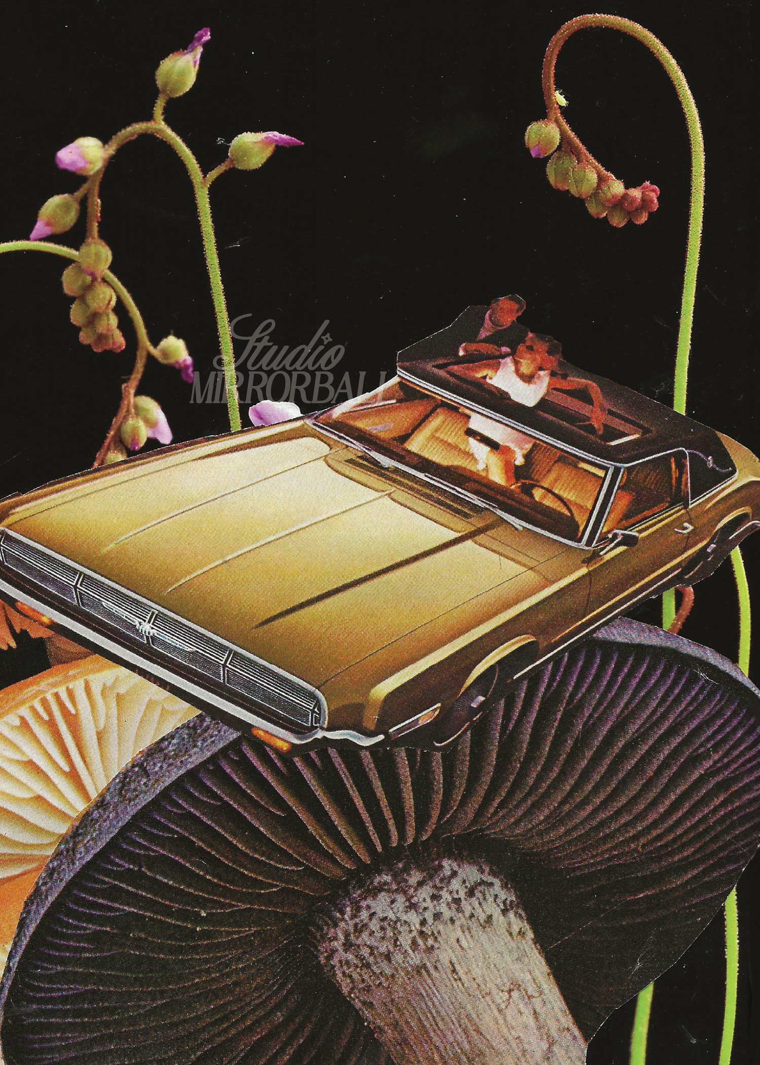 honey we shrunk the car.png