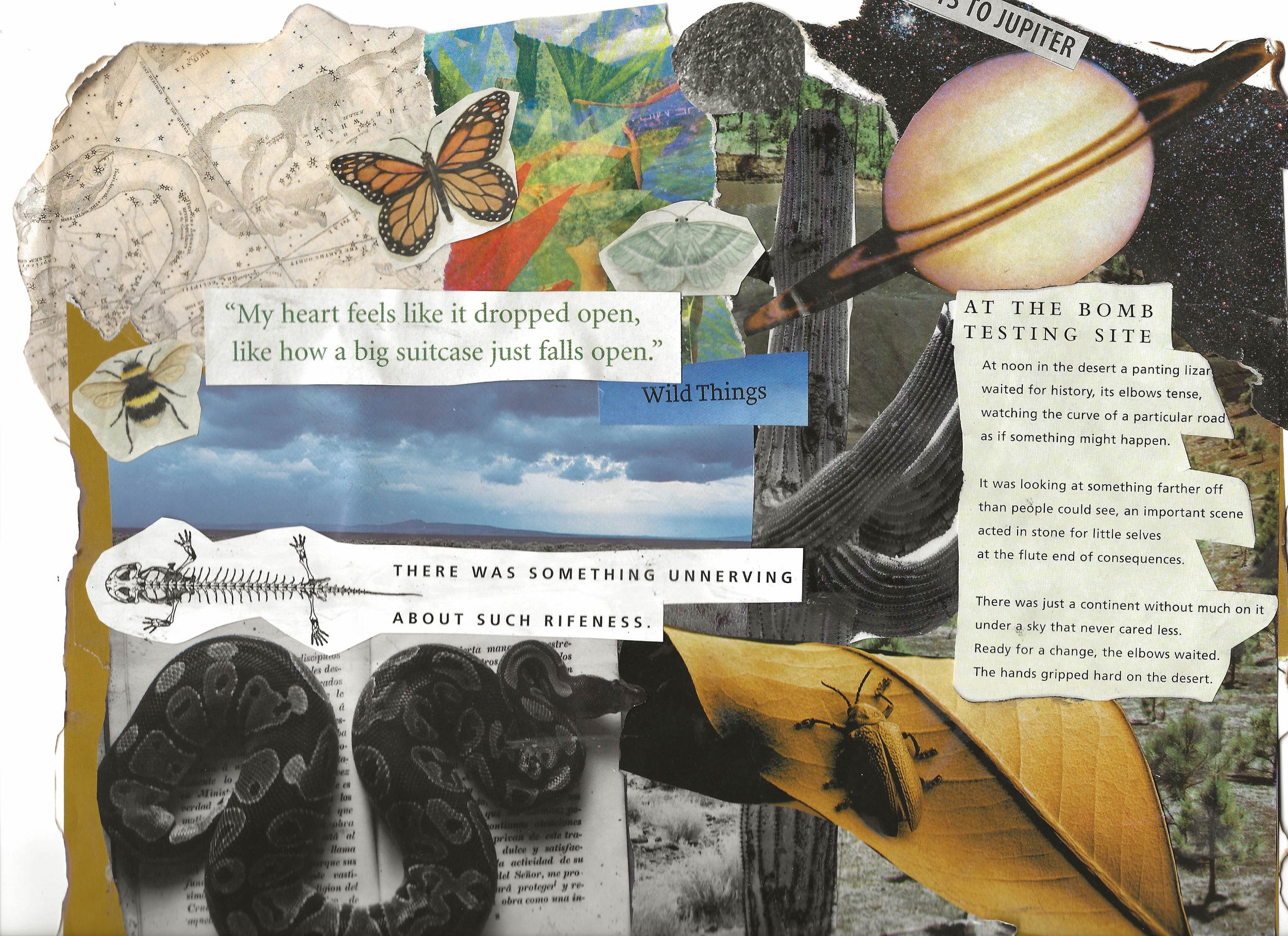 Abstract collage of torn images of snakes, bugs, butterflies, moths and various words. Text says "there was something unnerving about such rifeness" next to a poem. In the corner is Saturn with text saying "notes from jupiter".