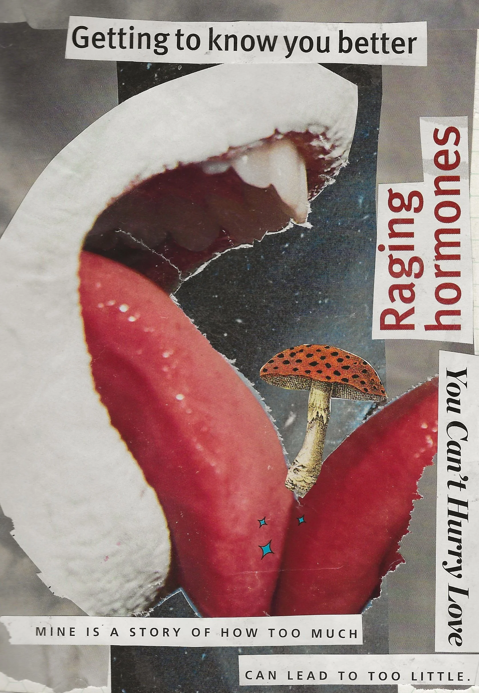 Abstract collage composed of torn images. Close up of two tongues touching with a mushroom between. Text says "Getting to know you better". "raging hormones" and "Mine is a story of too much".