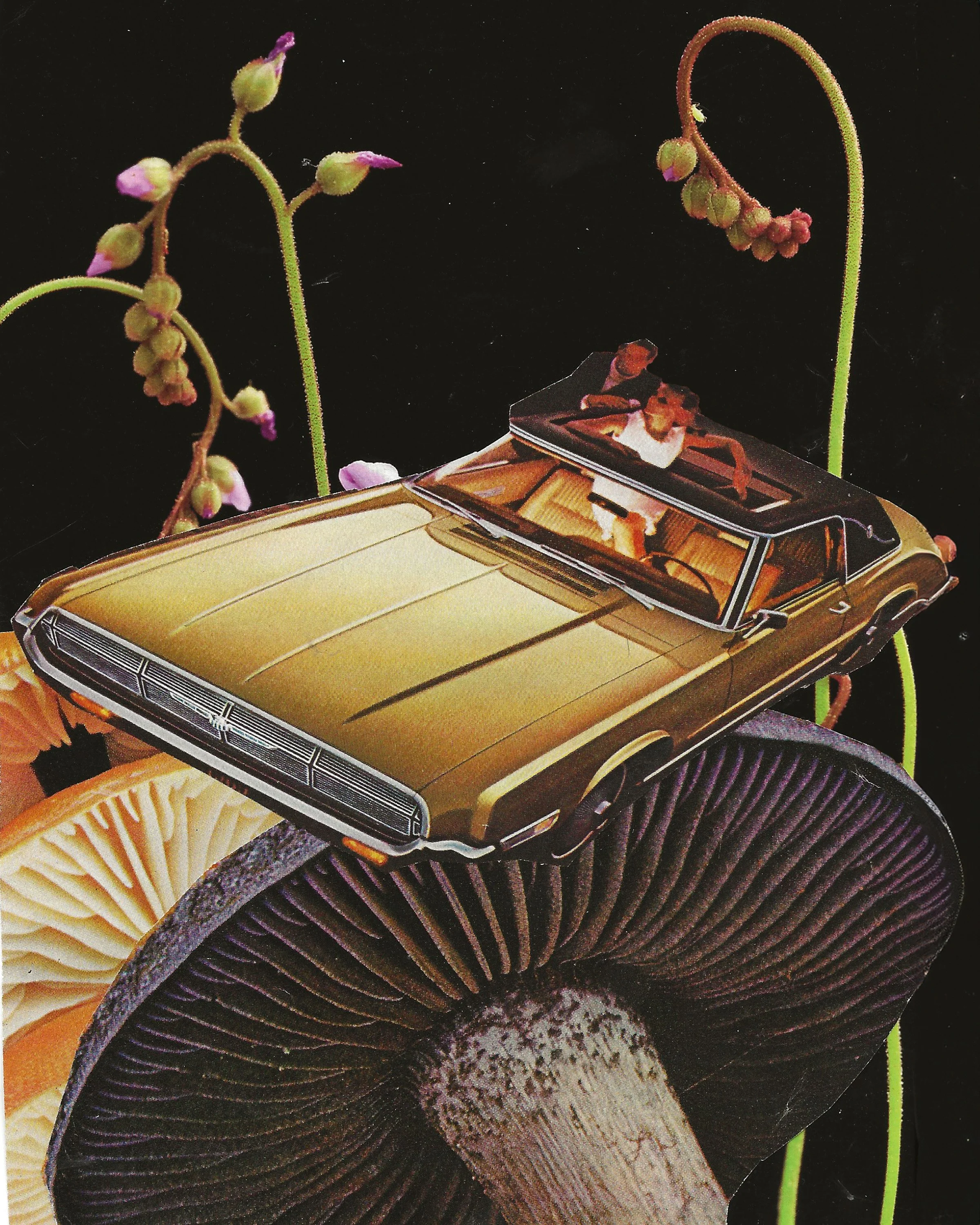 Abstract collage of couple inside a gold vintage car driving through oversized mushrooms and flowers.