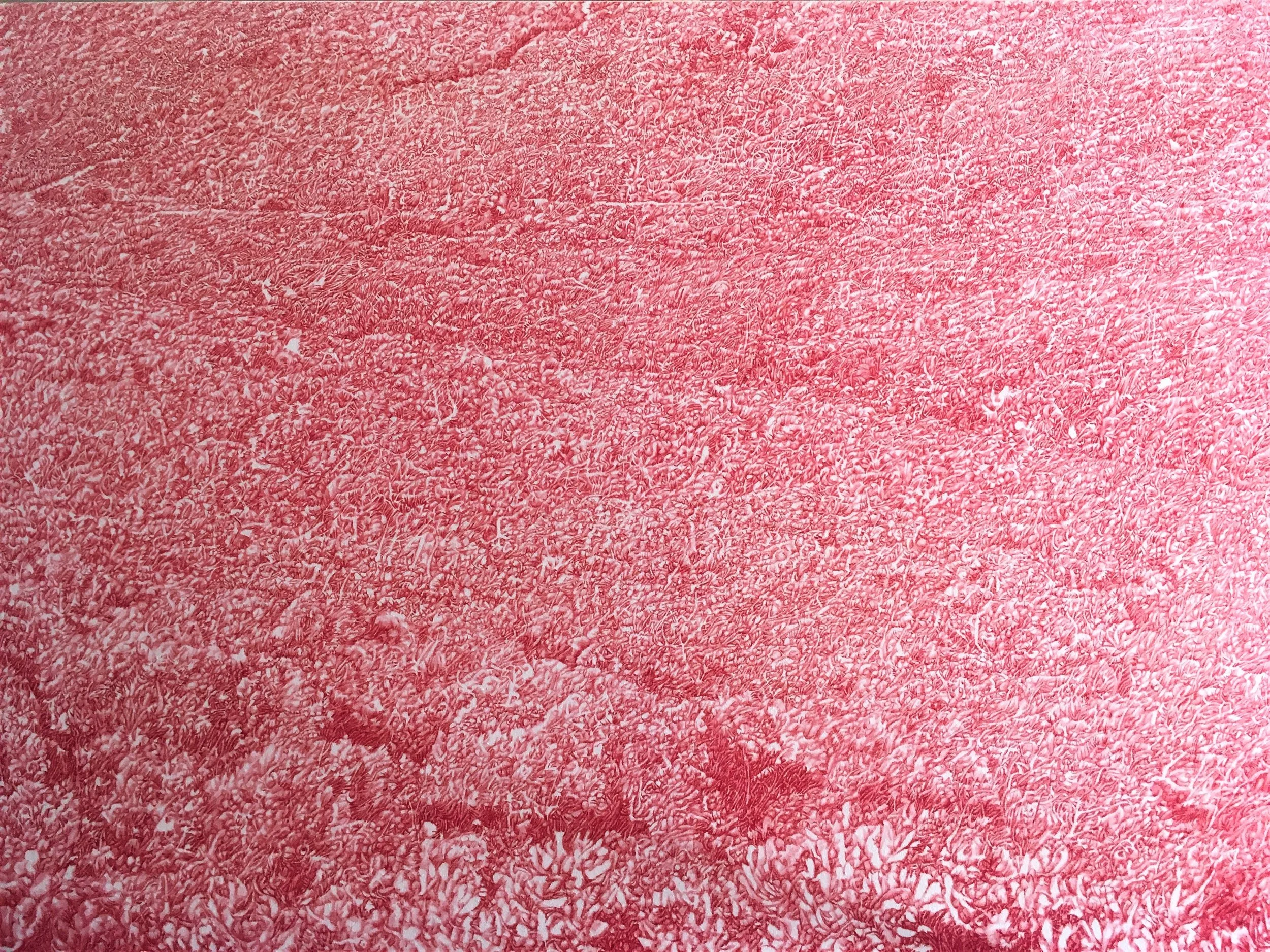 una+bona+donna.huile+sur+toile.2017.89x130cm.jpg