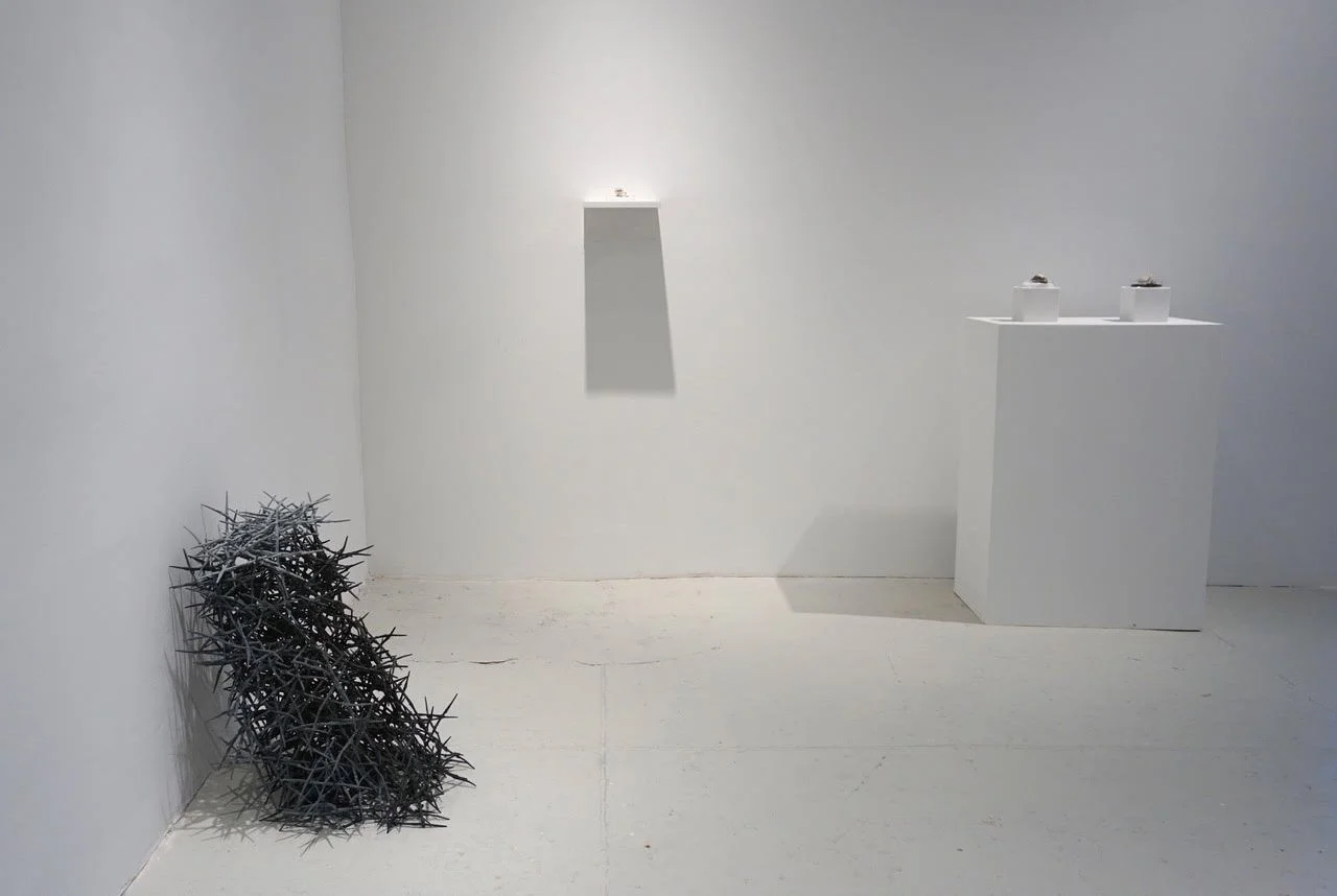 unnamed+(1).jpg