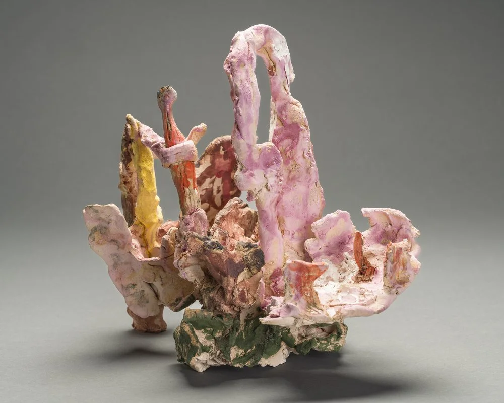 Judy Hoffman Solo Exhibition Evolvers and Wildtypes