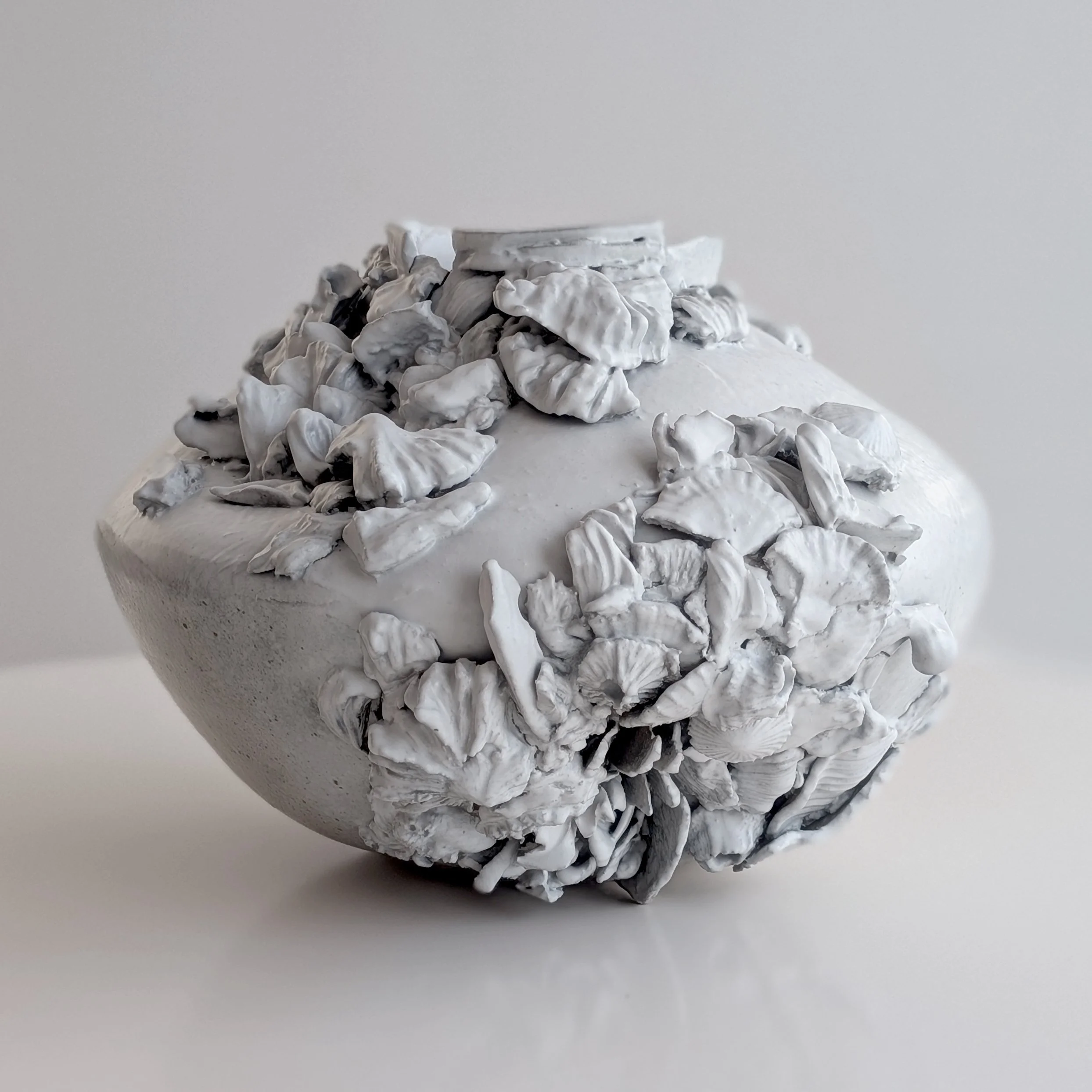 Erin_reef_vessel+copy.jpg