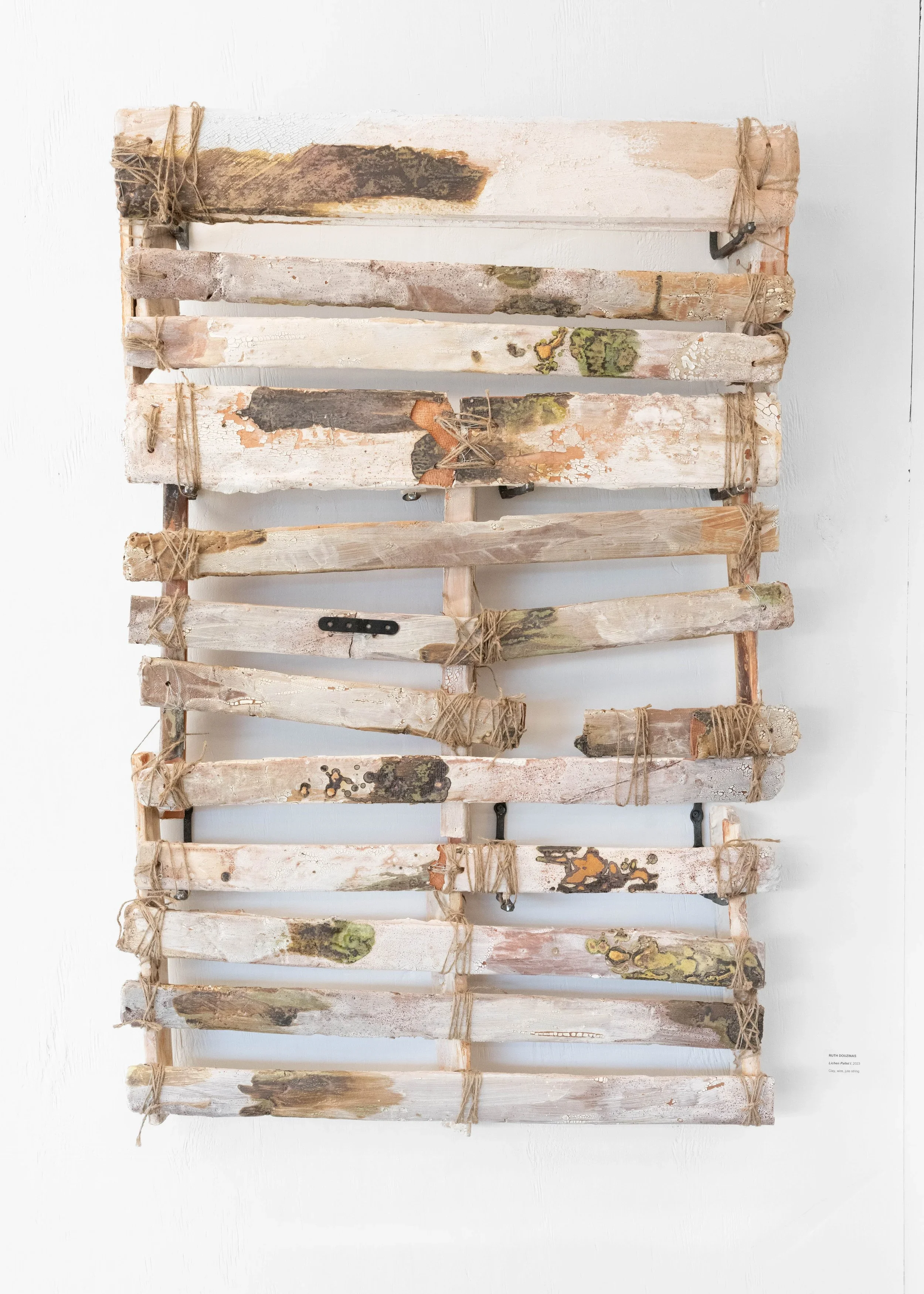Douzinas_Ruth_Lichen+Pallet+2023+high+res.webp