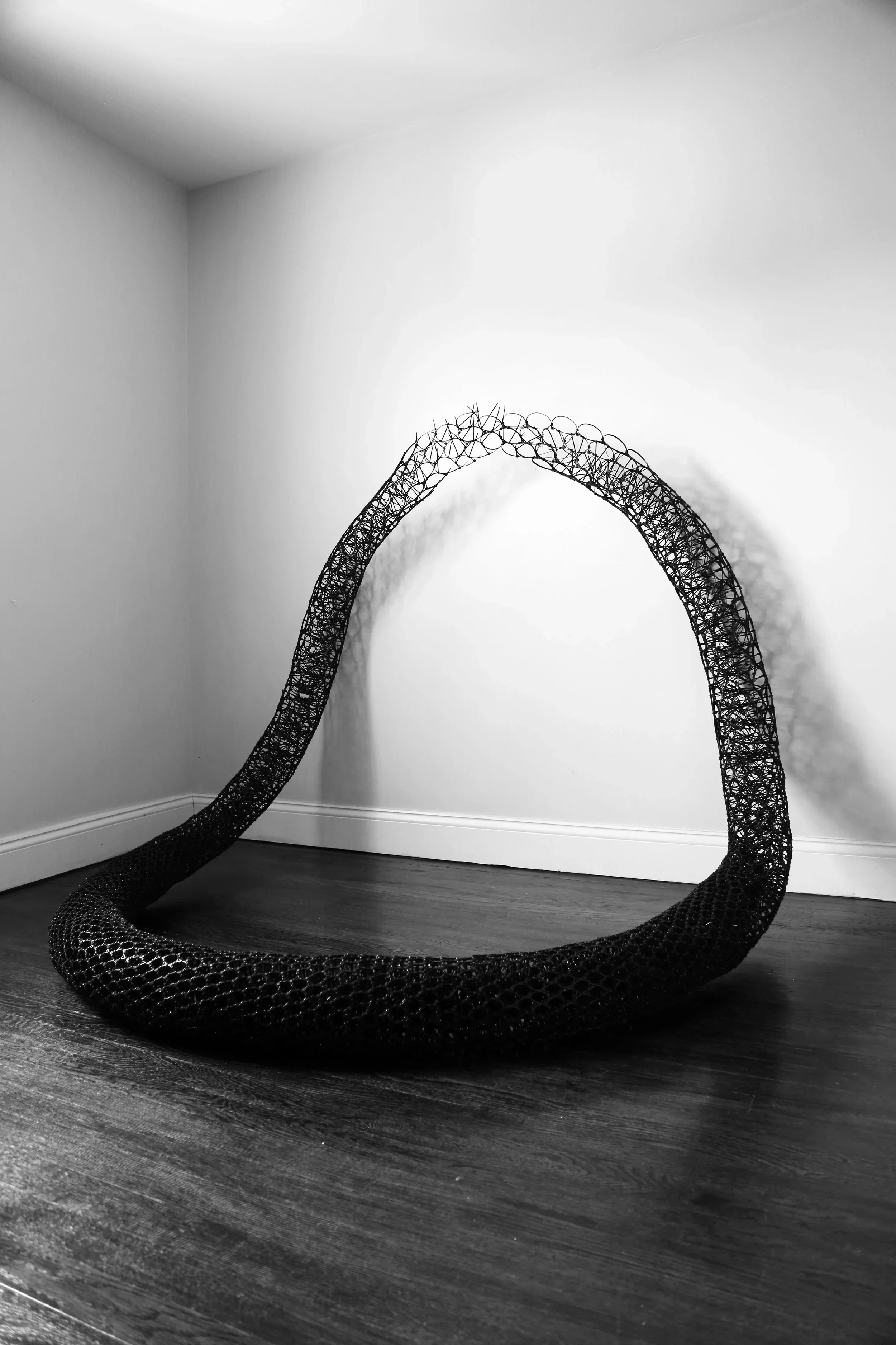 Loop+(300dpi).webp