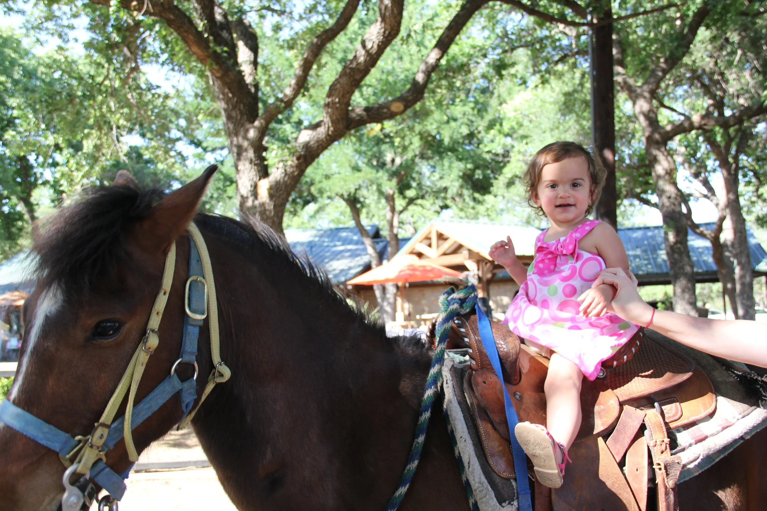 Infant girl on horse in the backyard of family summer reunion in Aledo, Texas working on nervous system regulation