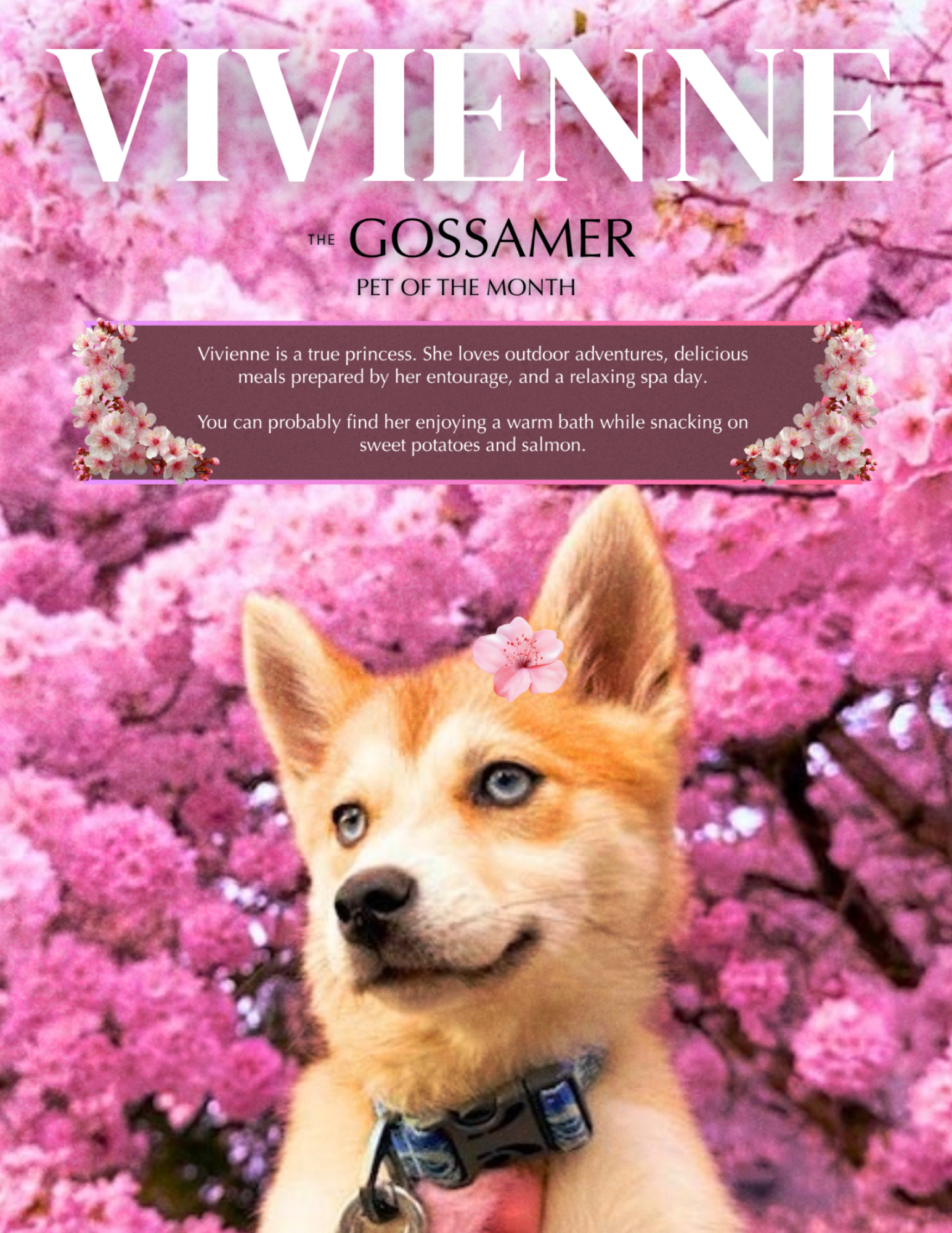 MAY 2026 Vivienne (1).png