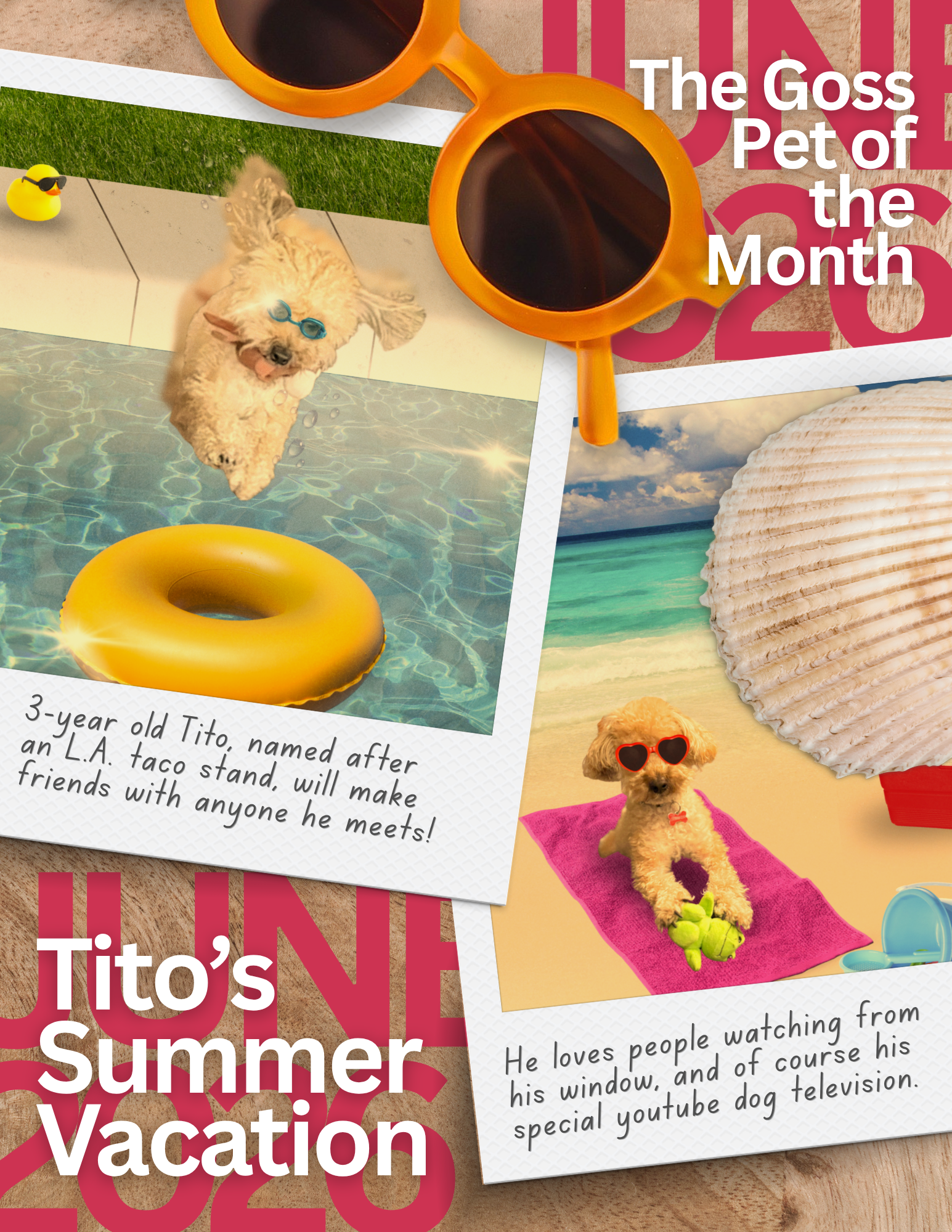 Tito's Summer Vacation (3).png