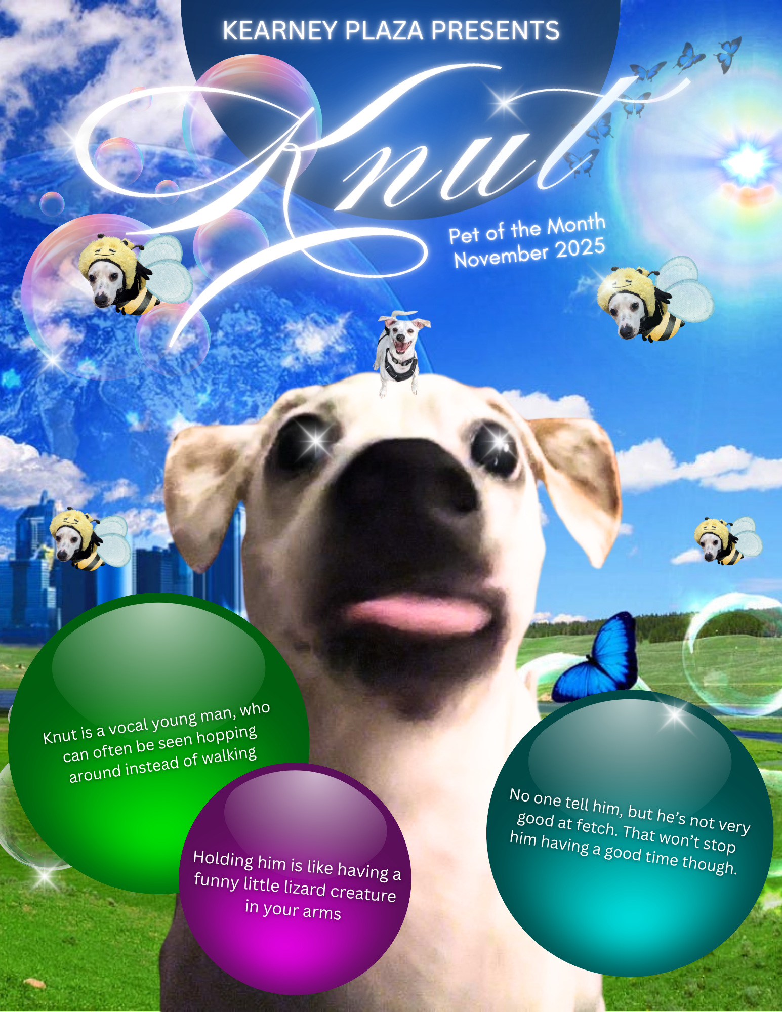 POM Kearney Nov KNUT.png