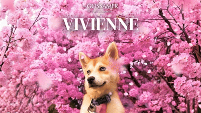 MAY 2026 Vivienne Bulletin.gif