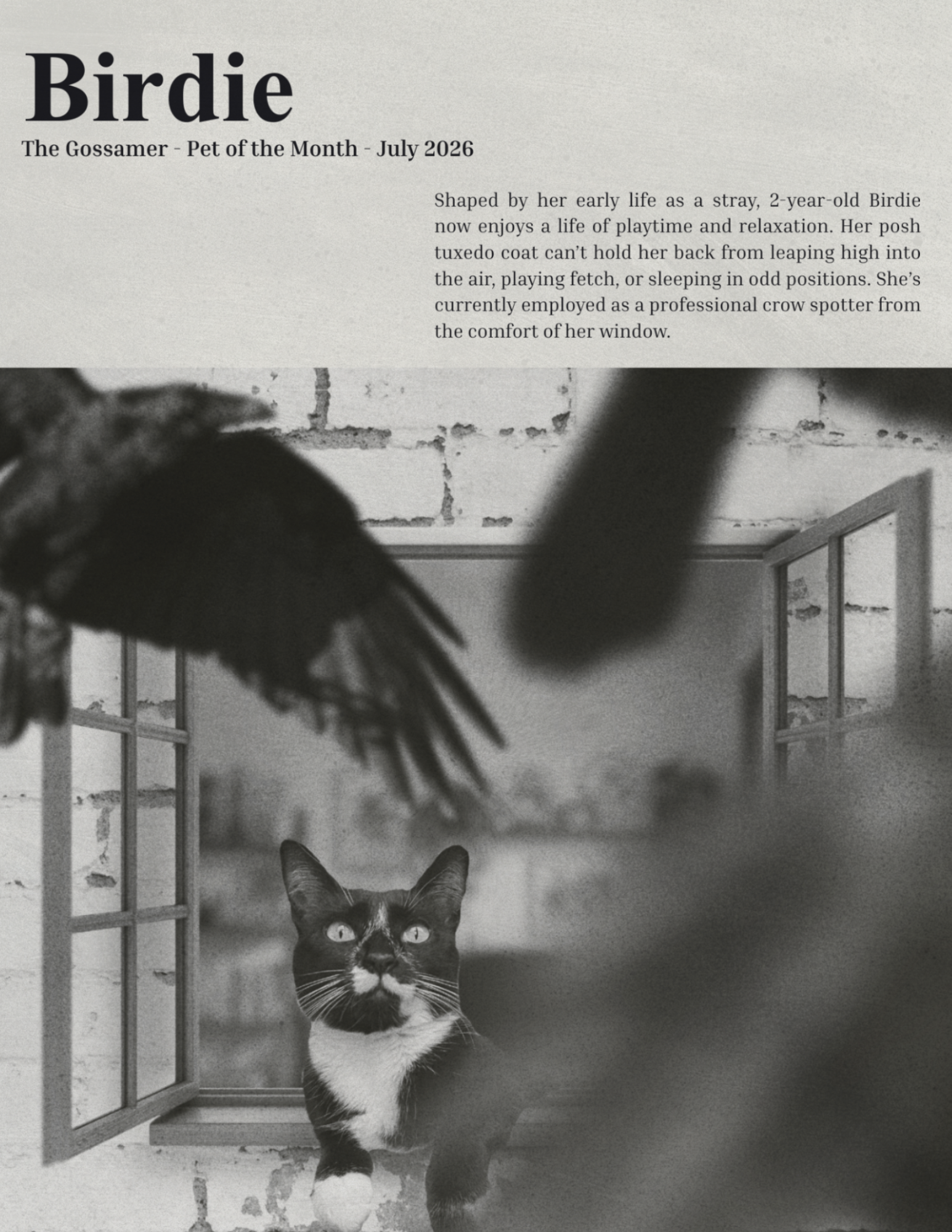 JUL POM - BIRDIE.png