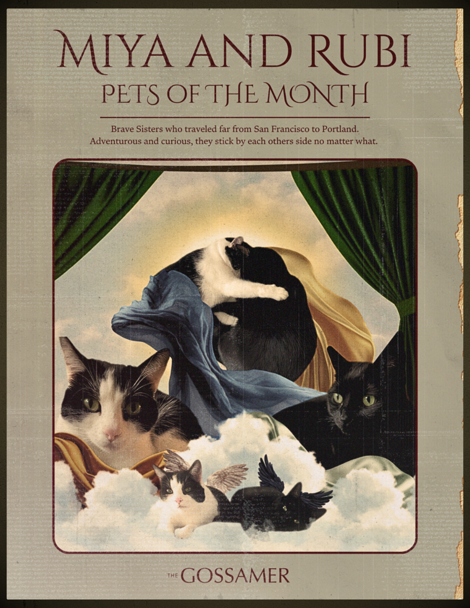 January 2026 POM Miya and Rubi.png