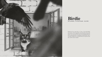 July Banner - Birdie.gif