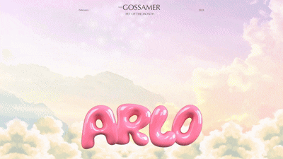 FEB 2026 ARLO Bulletin.gif