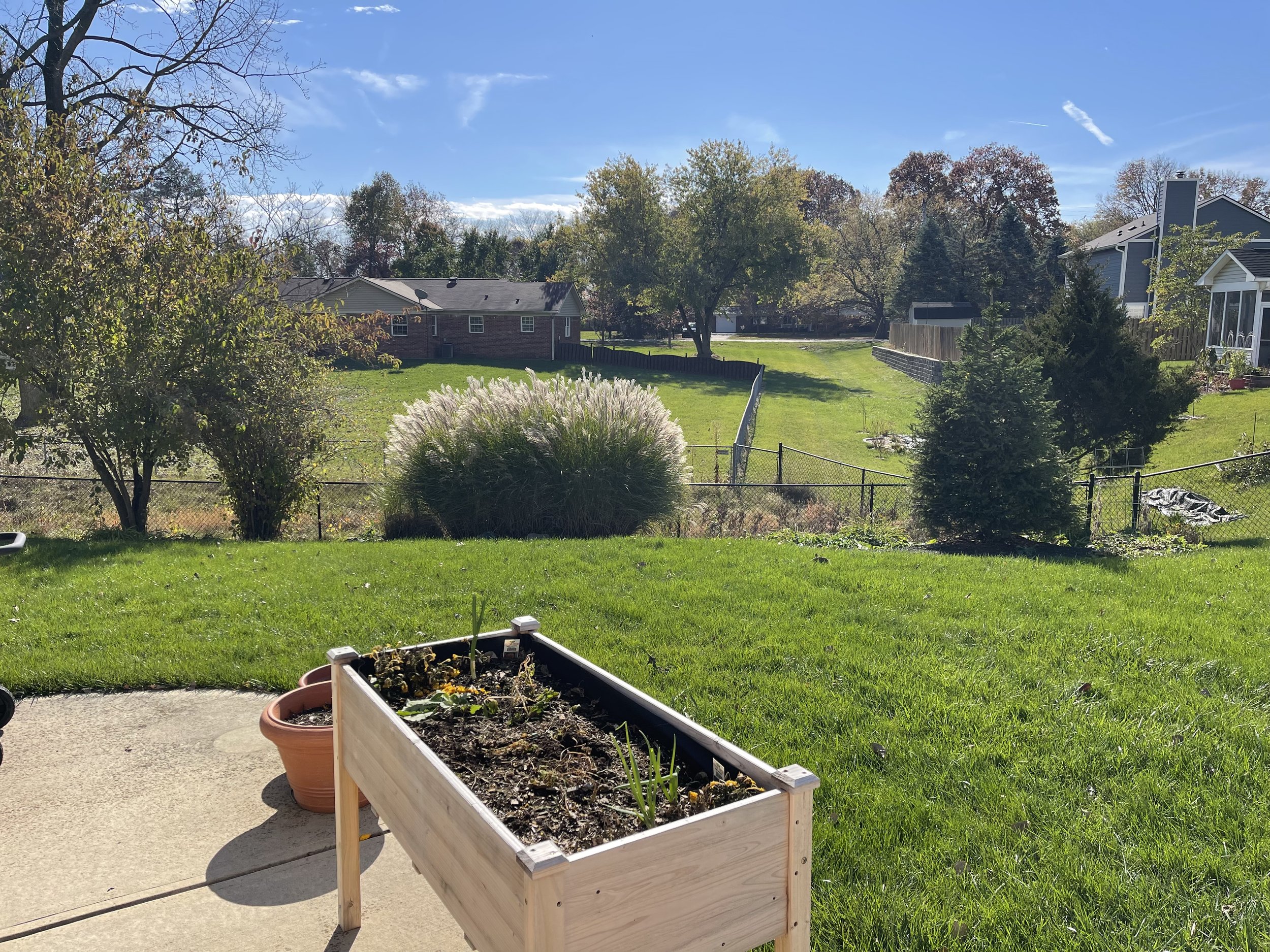 backyard raised bed.jpg