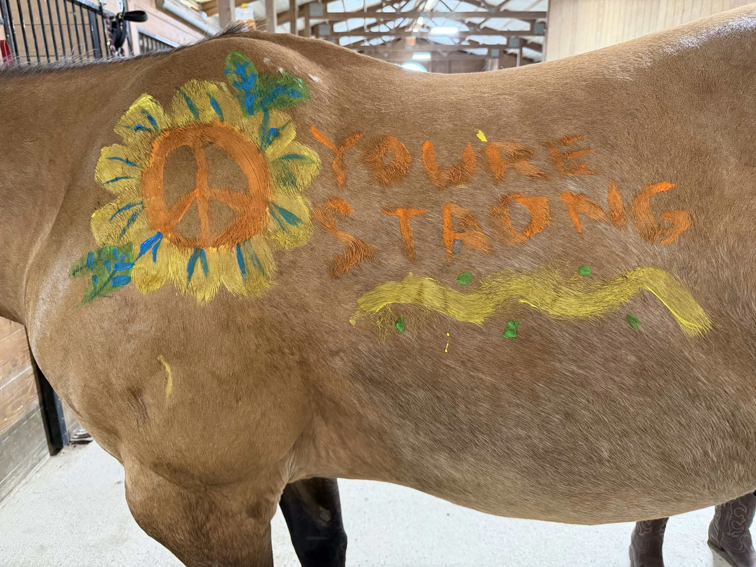 Healing with Horses