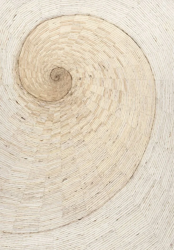 Why Routine Is Essential for Nervous System Health, Hormones, and Energy