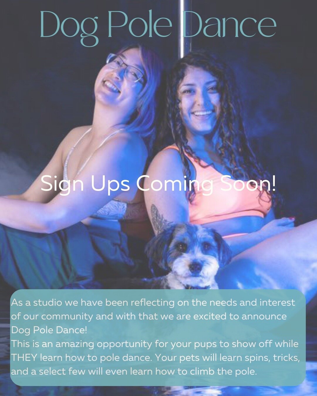 As a studio we have been reflecting on the needs and interest of our community and with that we are excited to announce Dog Pole Dance! ⁠
This is an amazing opportunity for your pups to show off while THEY learn how to pole dance. Your pets will lear