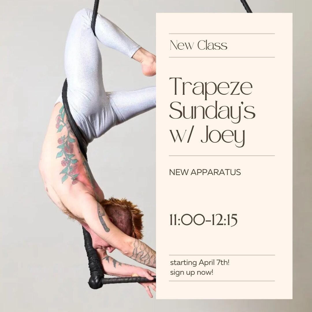 Maybe you've seen him perform, or maybe you've just seen him be amazing around the studio. Come learn dance trapeze with @joey_the_tiger starting this SUNDAY!⁠
.⁠
.⁠
.⁠
#vrv3 #vrv3studios #findyourverve #sanfranciscopole #sfpole #bayareaaerial #flyto