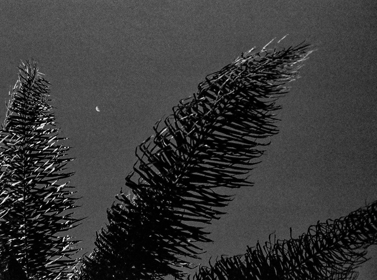 Dear Kevin exhibit-4.jpg