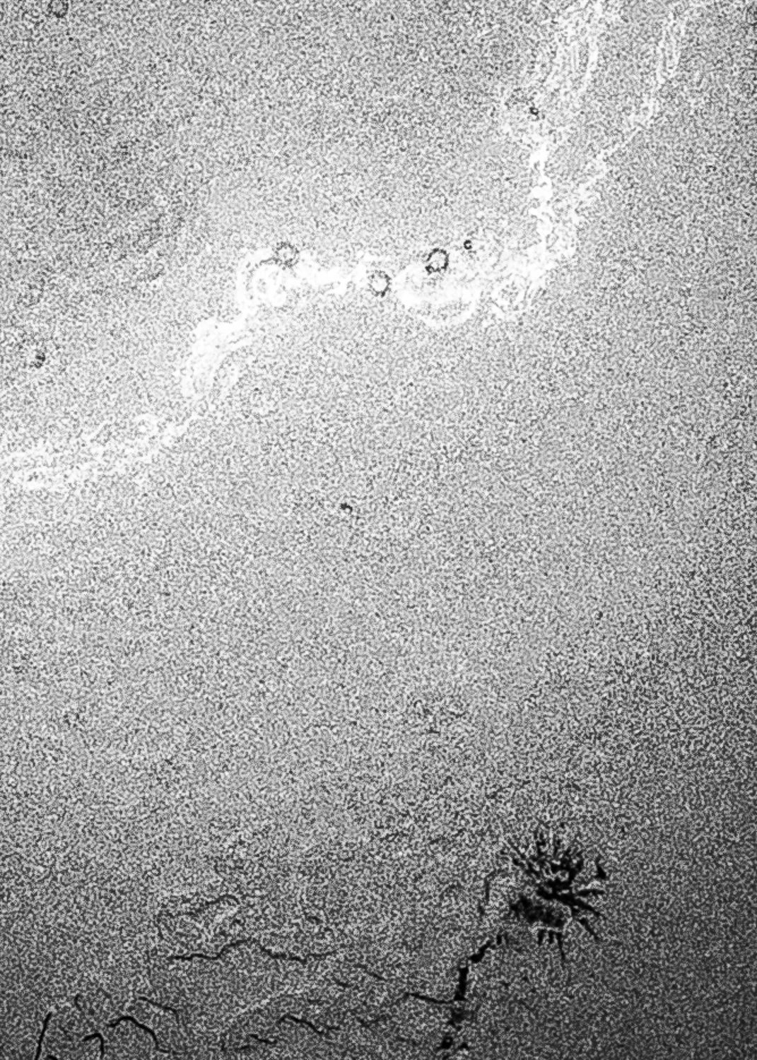 Dear Kevin exhibit-21.jpg