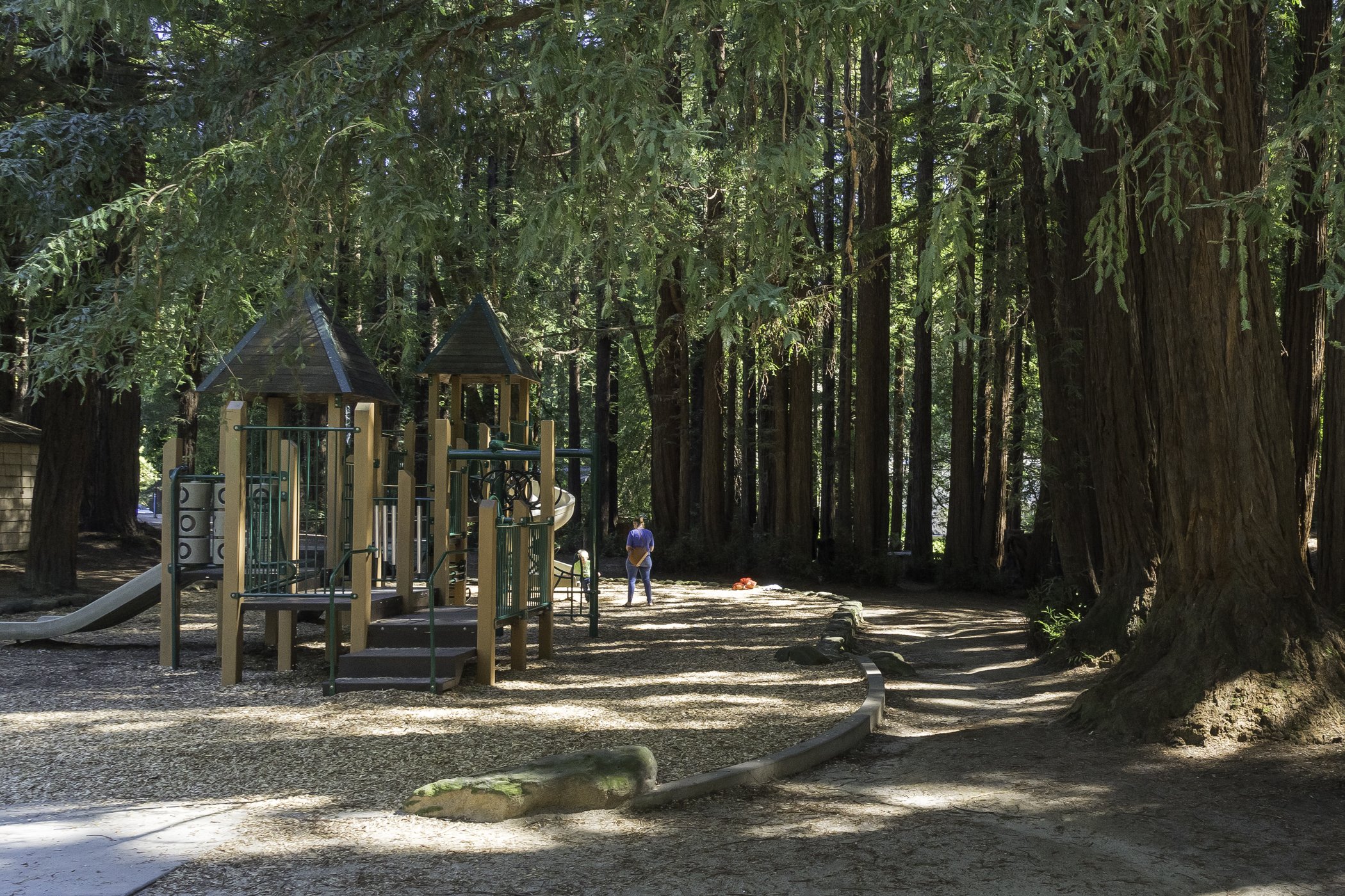 Old Mill Park Mill Valley MLS-1.jpg