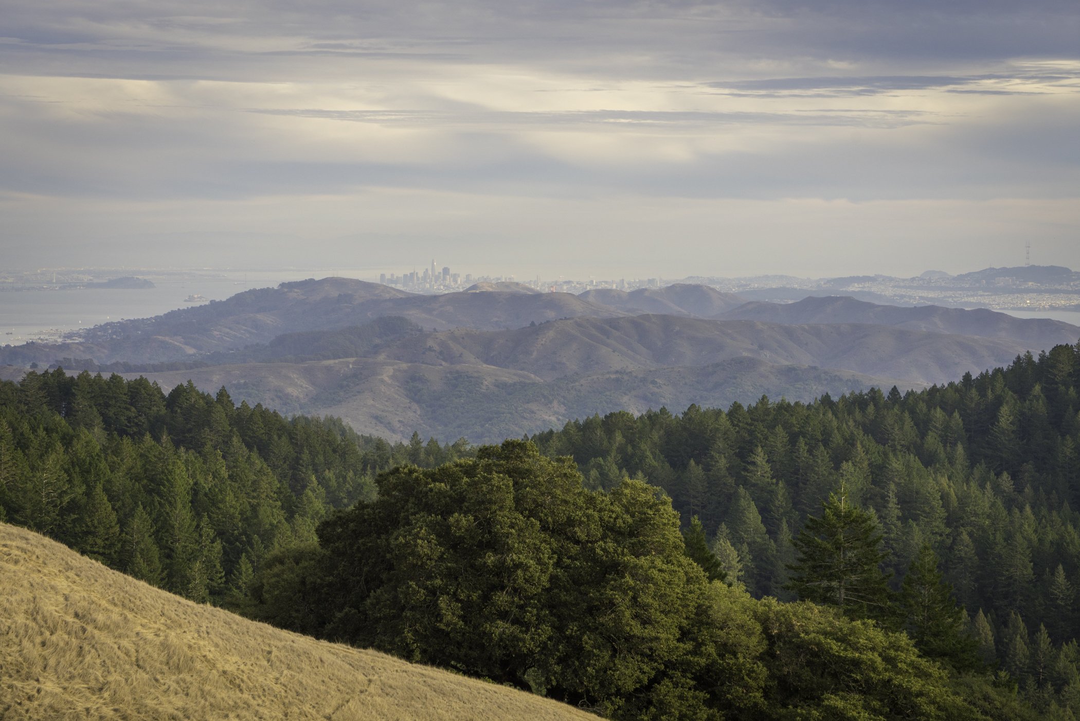 Mount Tam to SF MLS.jpg