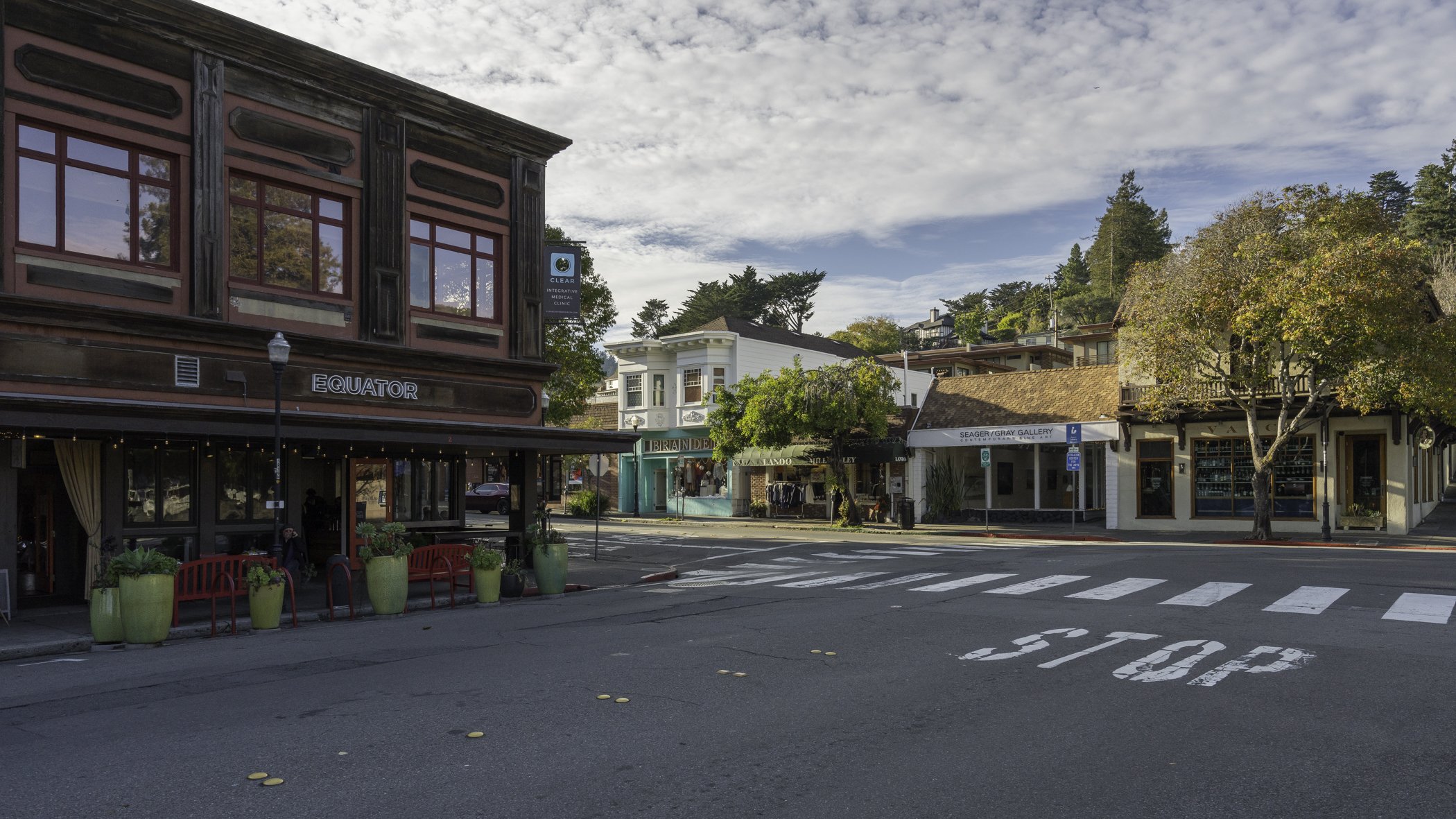 Downtown Mill Valley MLS.jpg