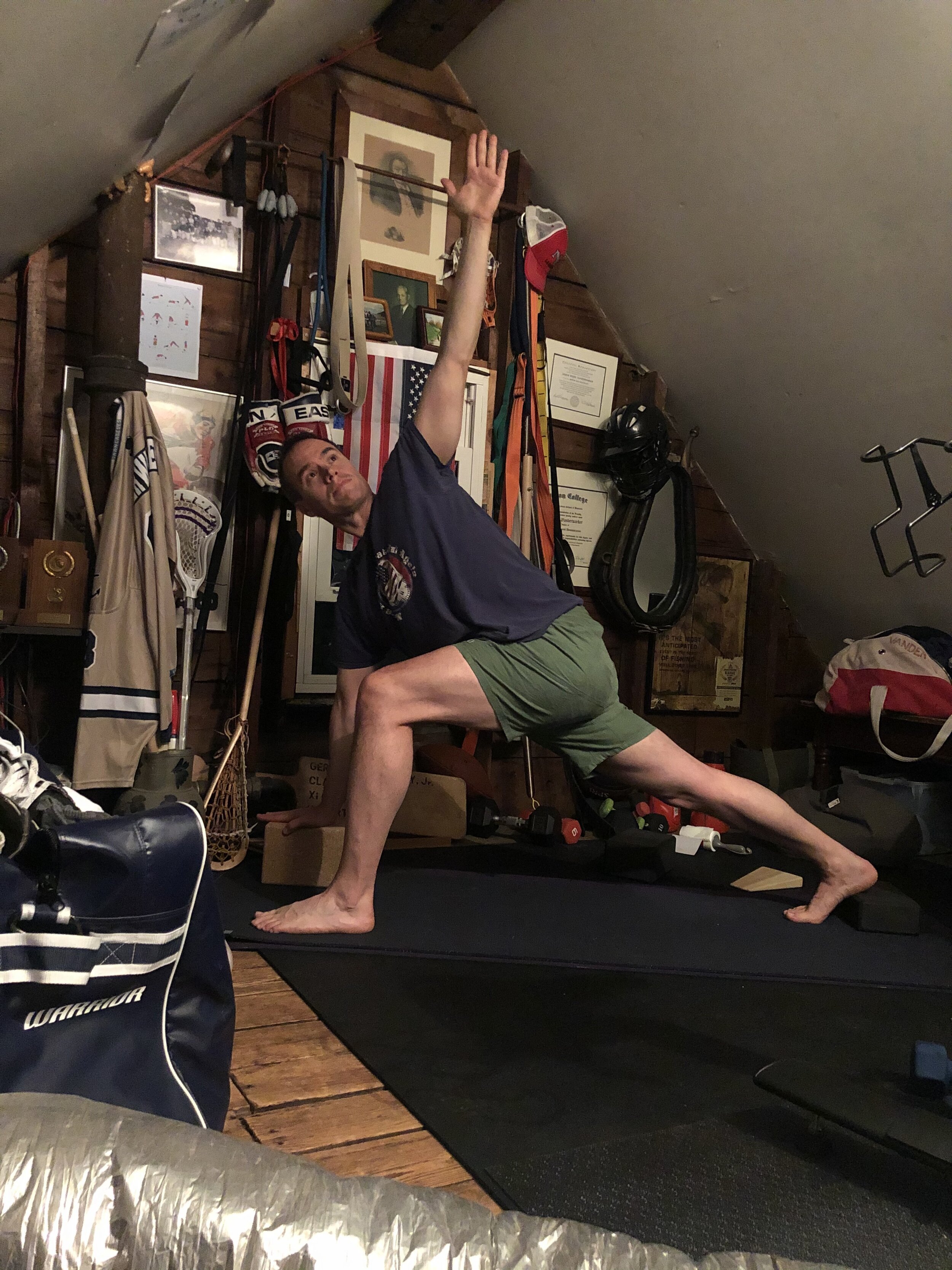 DV+BPR+Attic.jpeg