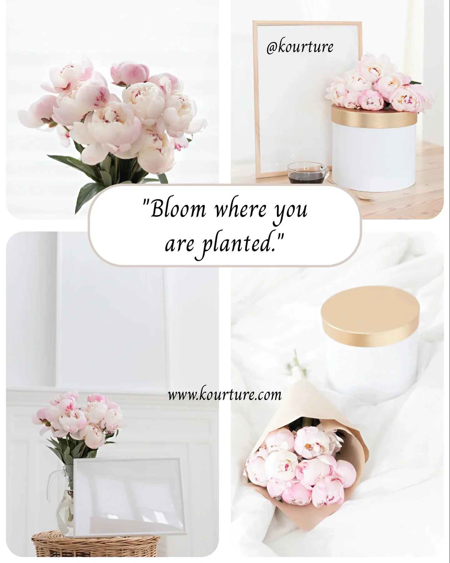 regardless of the situation&hellip; ~ bloom prosperously! ~ you will find your way! {@kourture}
.
.
.
#bloom #grow #motivation #motivational #friday #keepgoing #moves #dontstop #inspiration #inspire