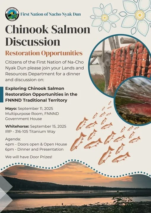 Chinook Salmon Discussion