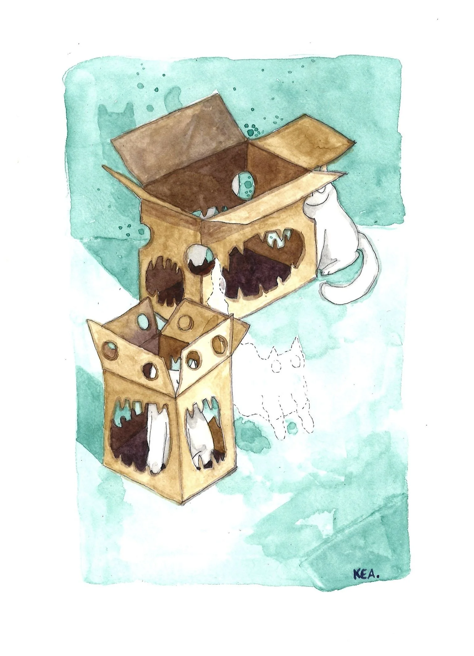 cats-in-scary-boxes.jpg