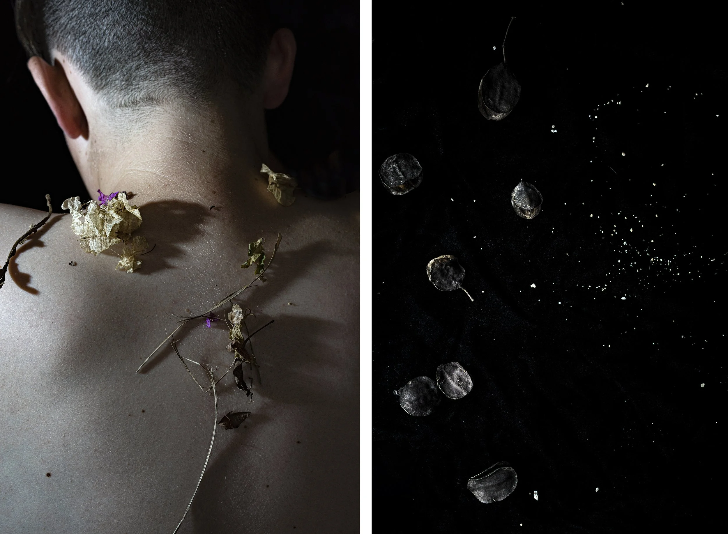 Mother Nature: Video
