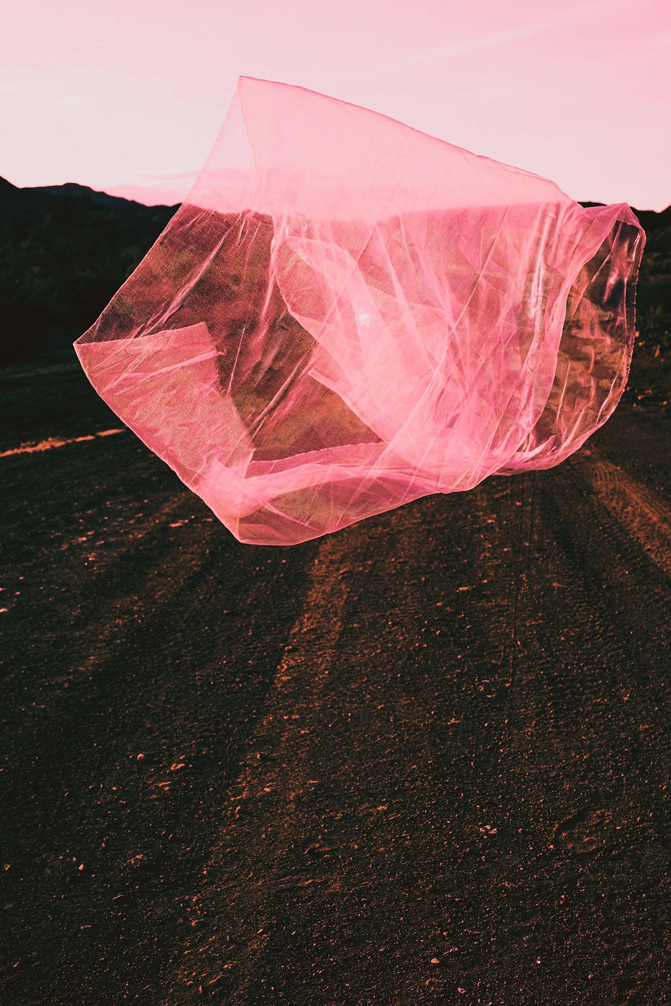 _DSC6104_pink.jpg
