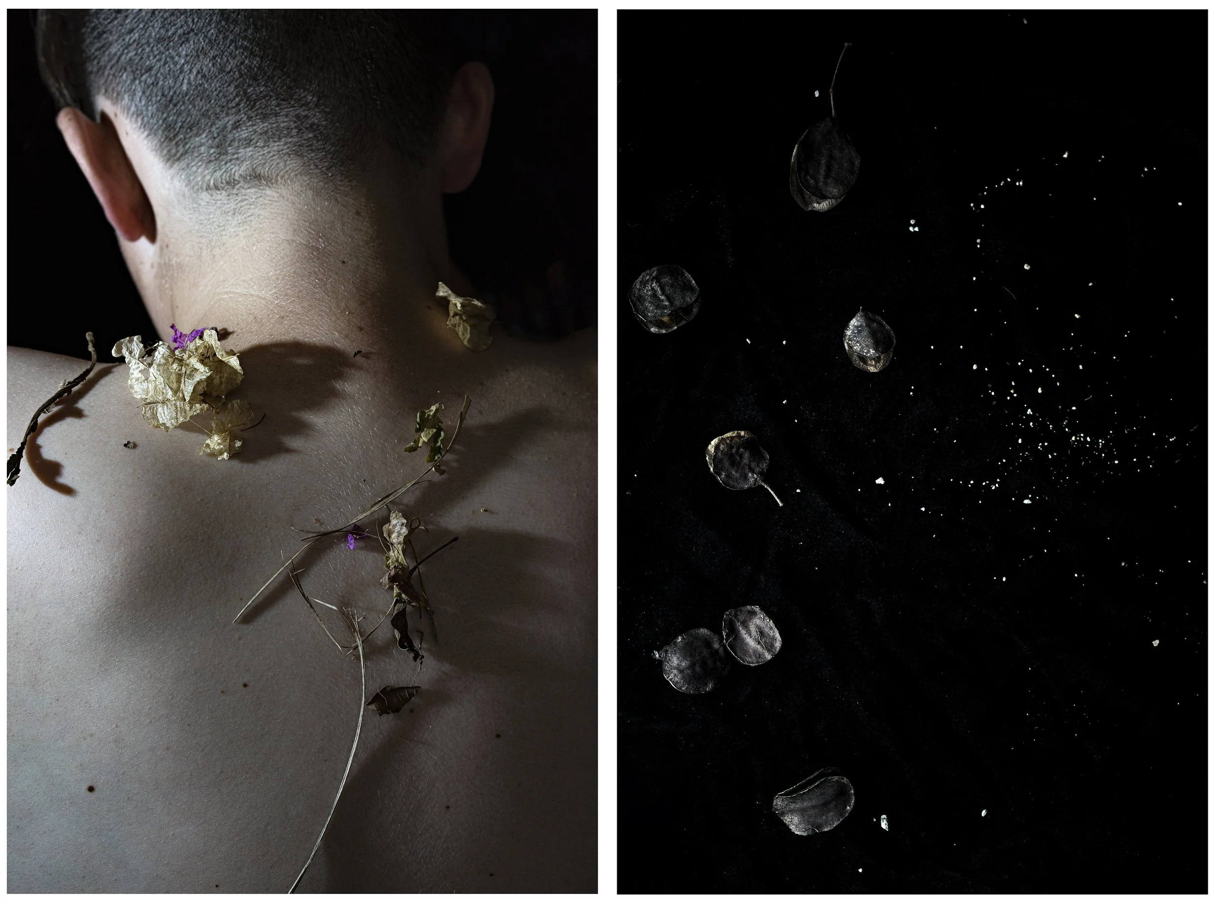 Mother Nature: Video