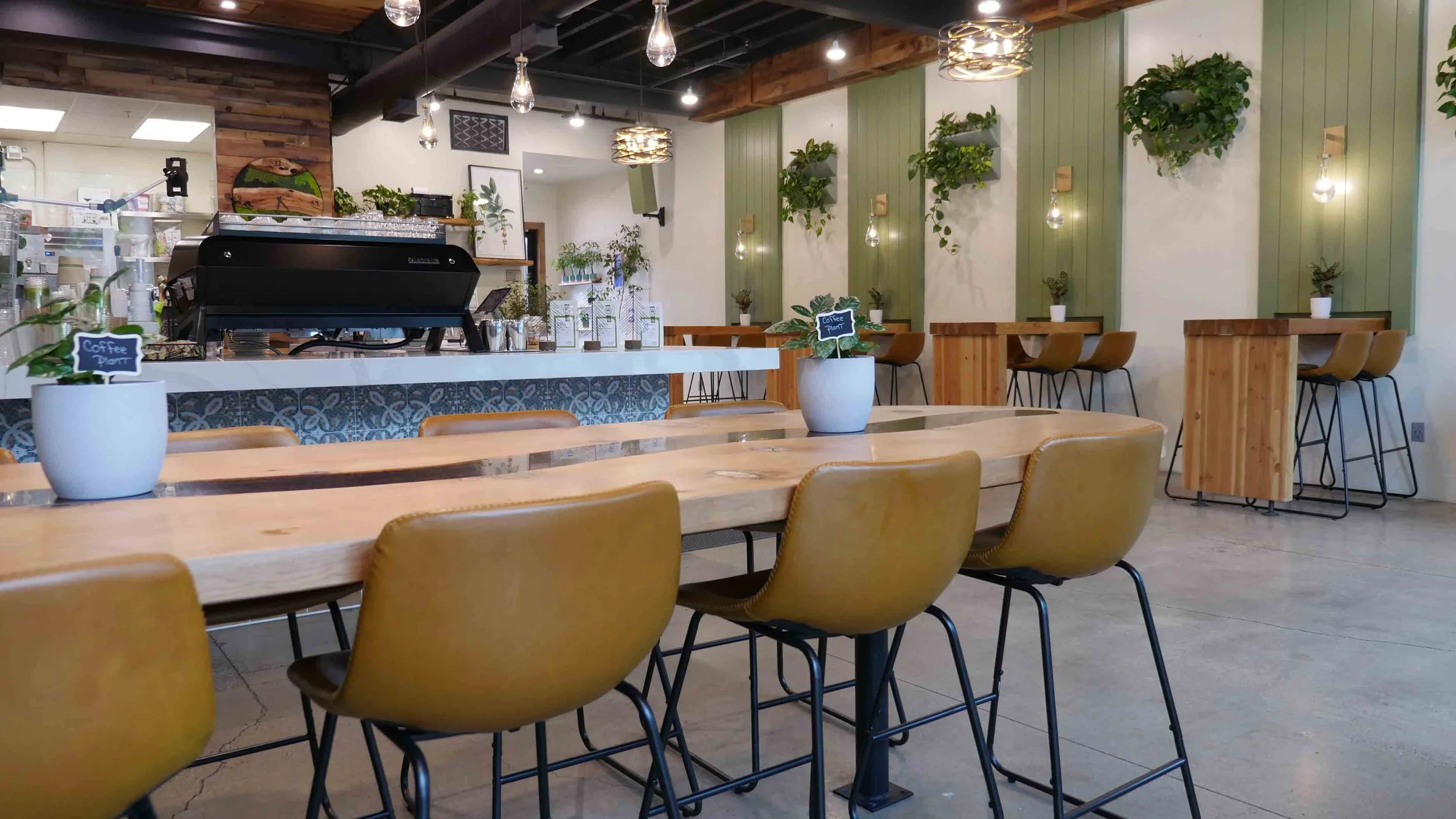 Interior of Three Pines Coffee Company in South Lake Tahoe, CA