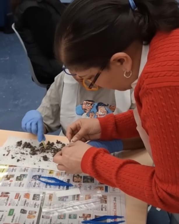 A tutor helping a student dissect an owl pellet during a science club activity.