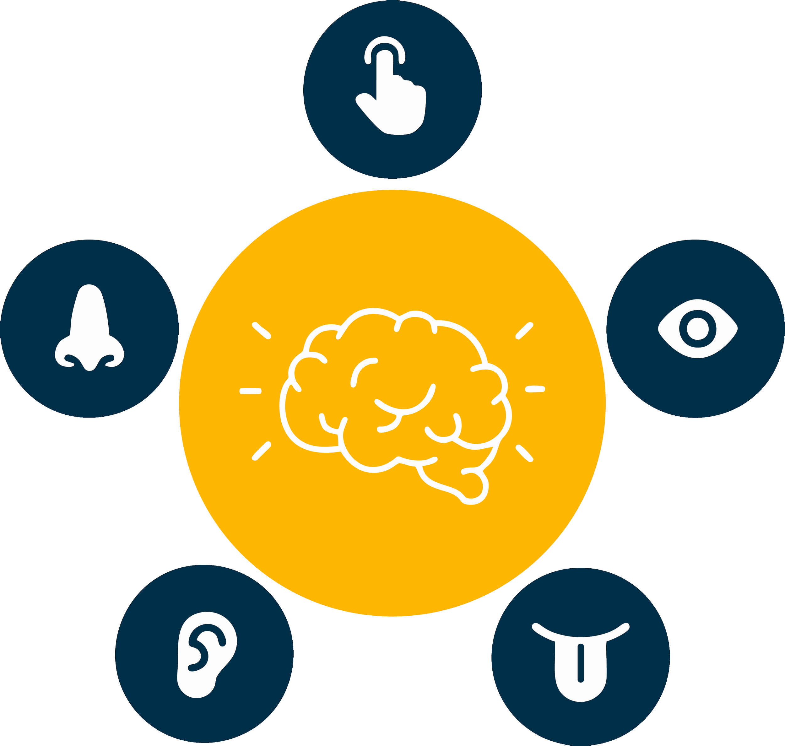 illustration with brain at the center and icons os the five senses around it.