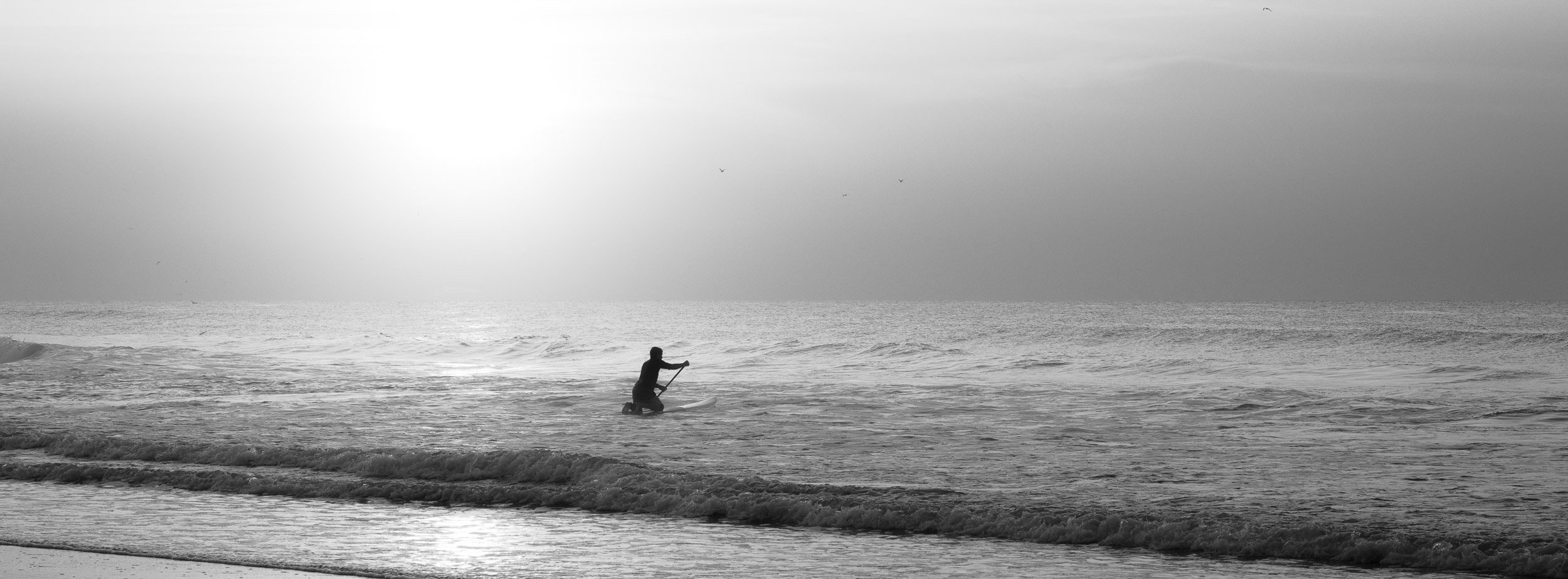 Surf City Surf-2.jpg