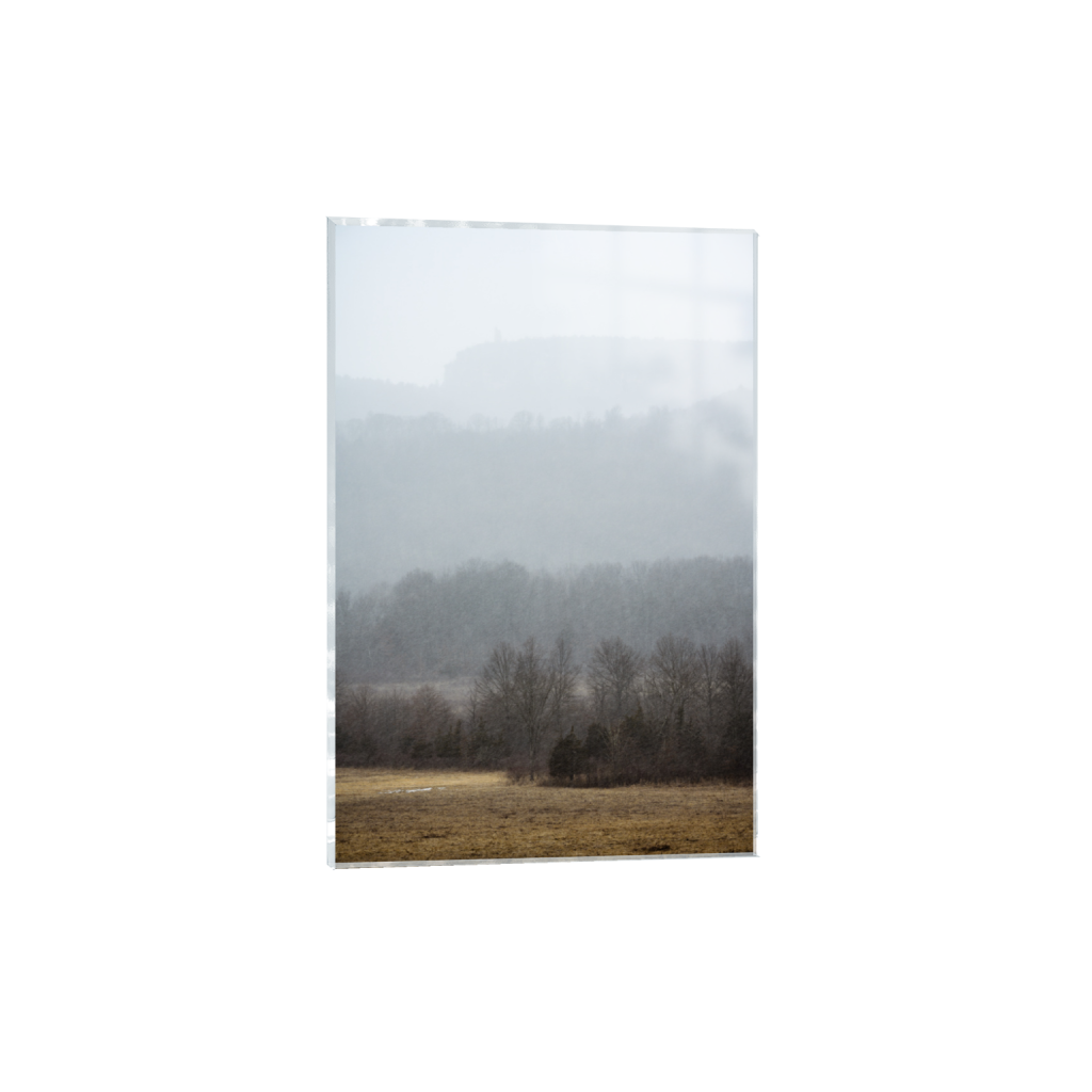 ptq_17_3_0_0_5270_7906_0_false_ffffff_0_0_.png