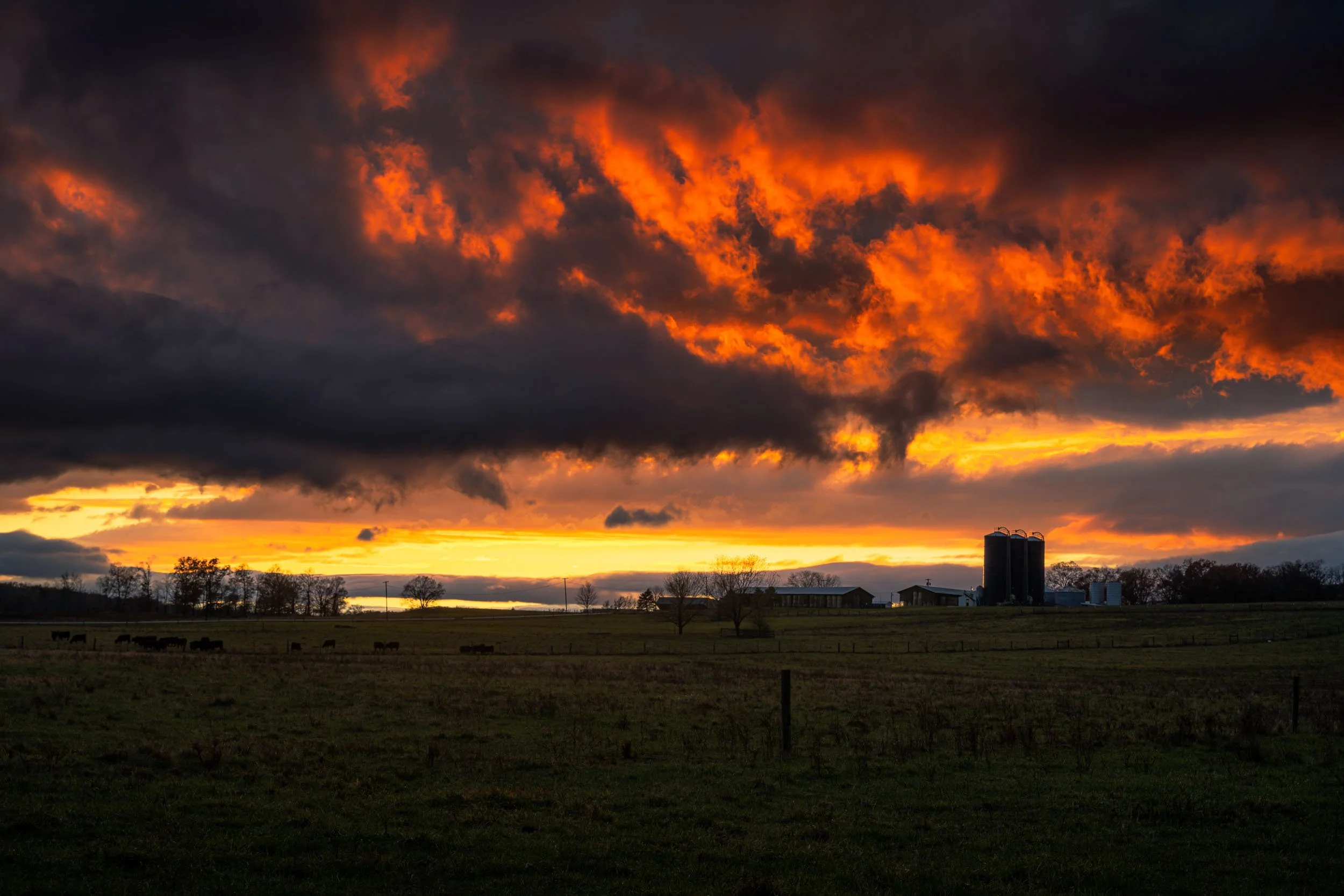Blazing sky over Watchtower Farm.jpg