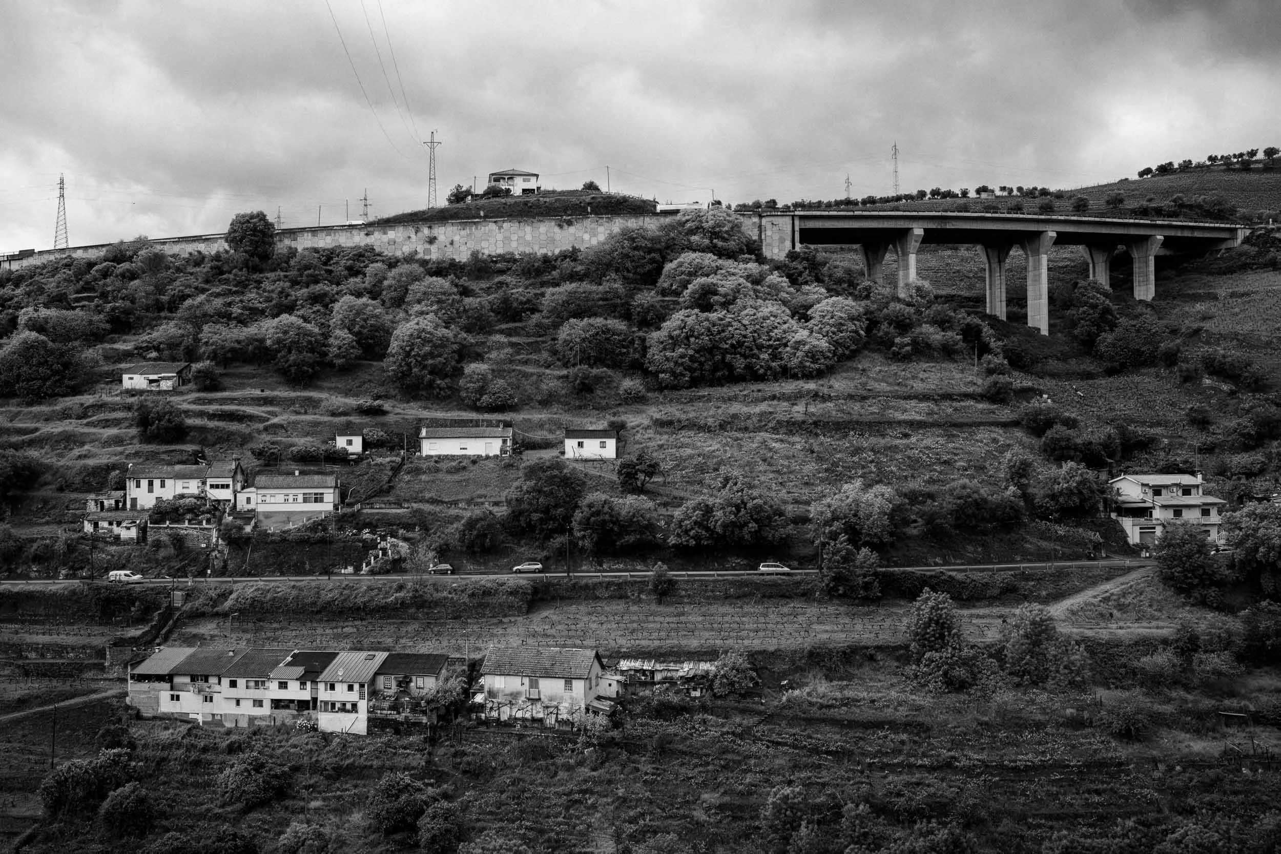 The Douro Valley 3 (NEW).jpg