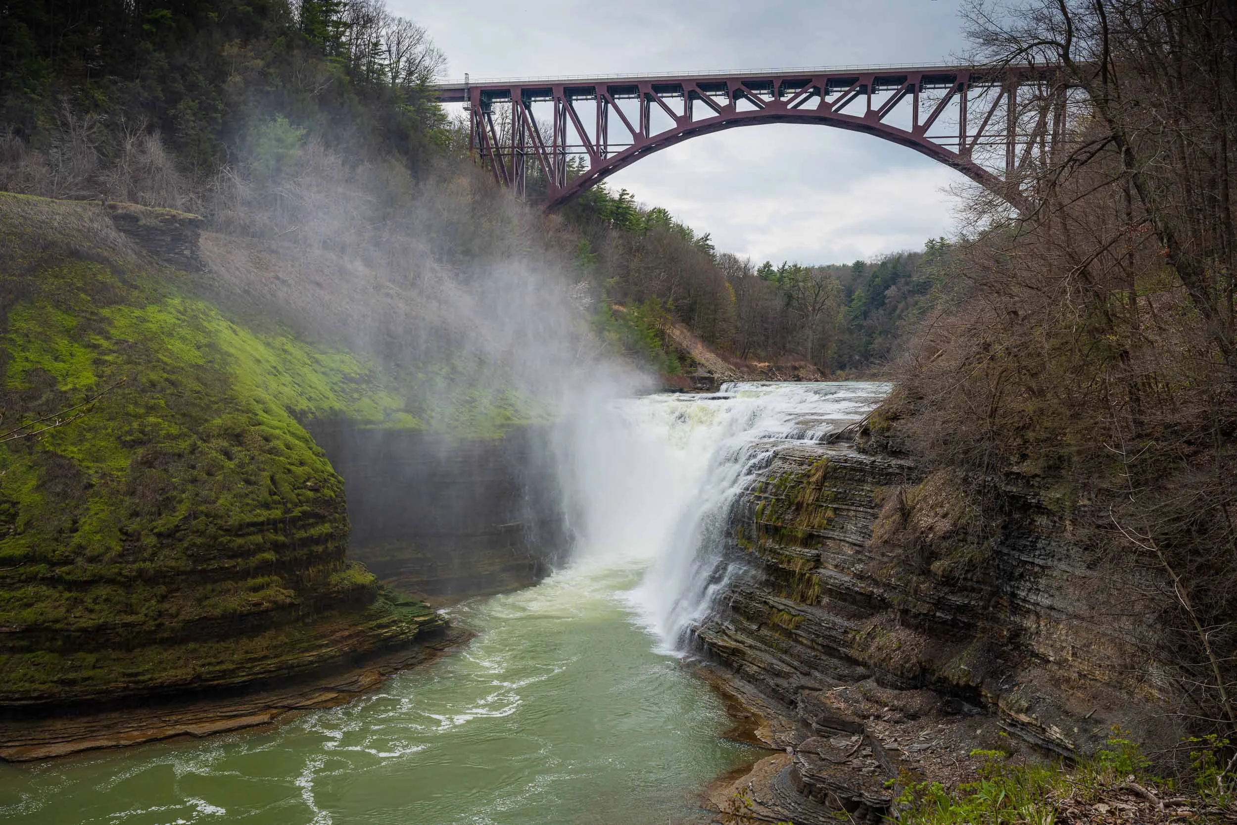 Litchfield State Park-2.jpg