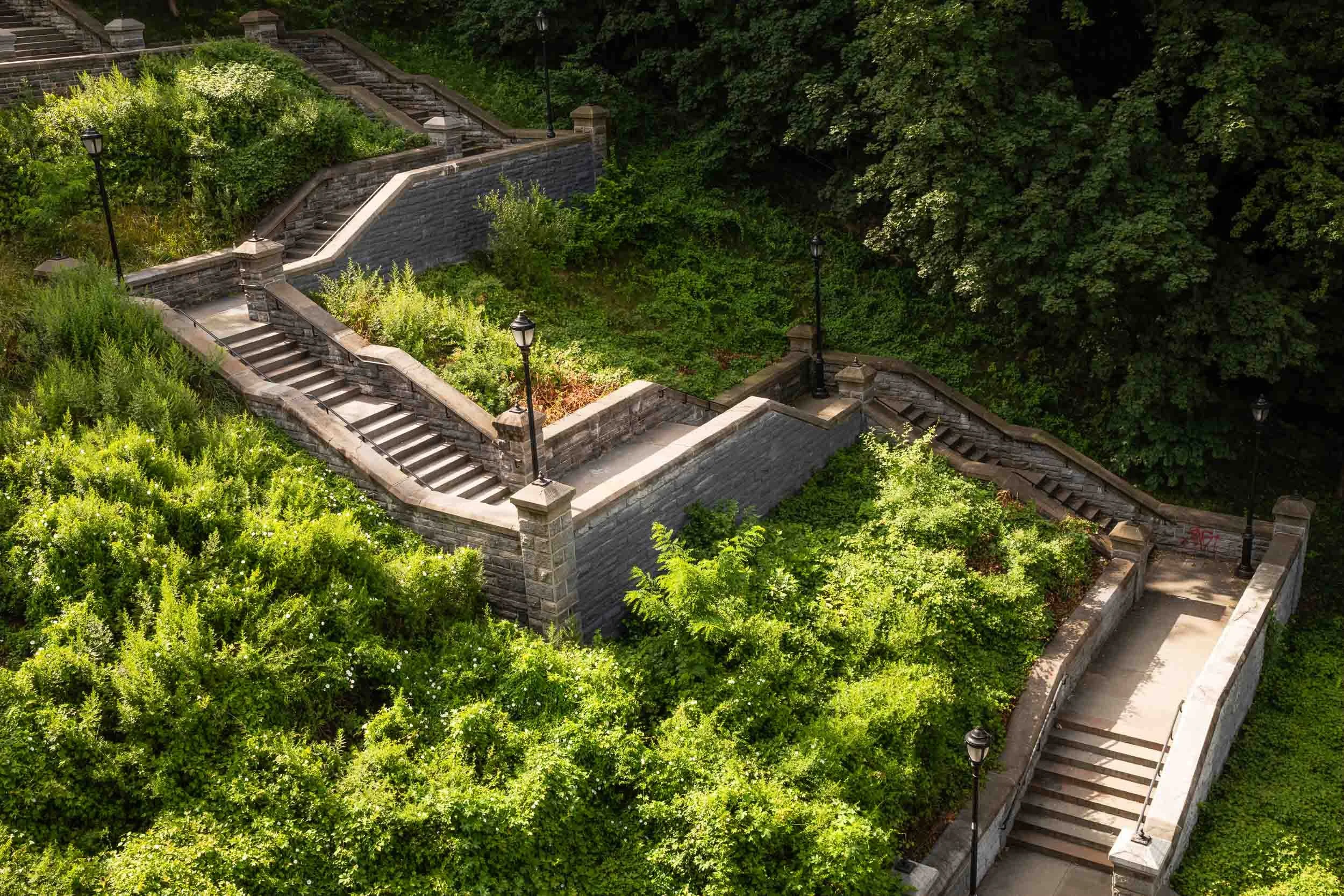 Stairway to the Bronx.jpg