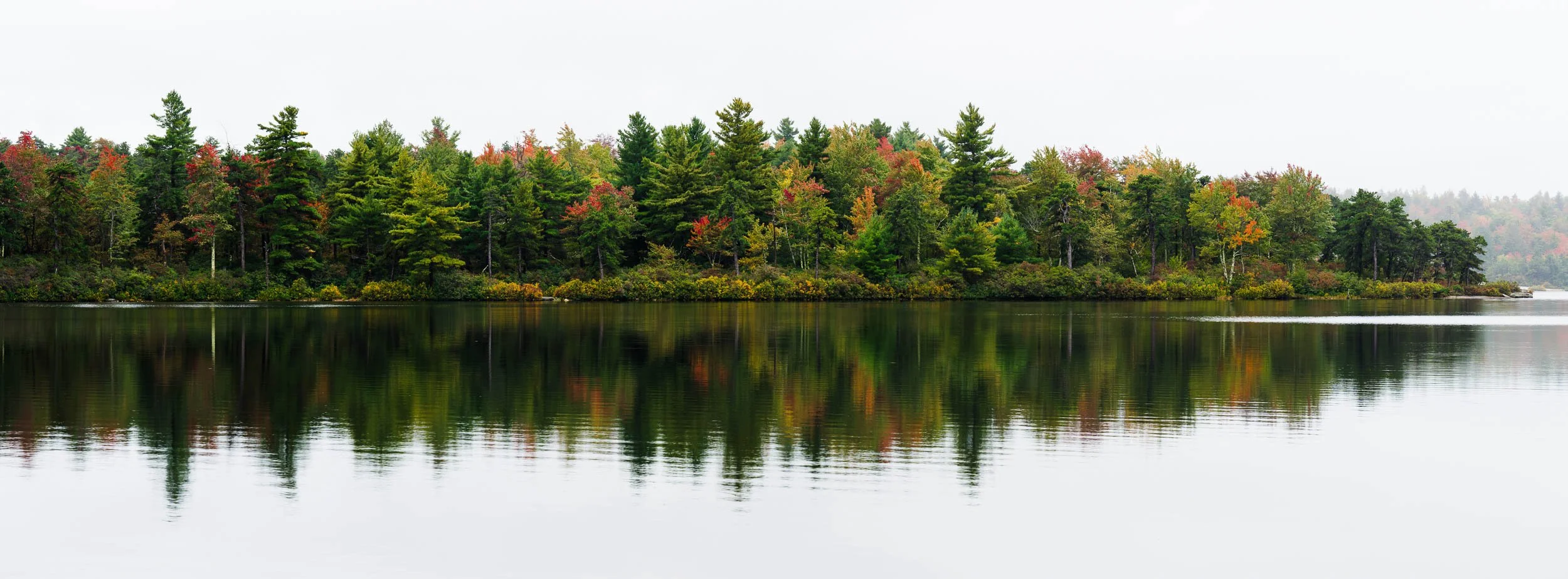 Fall on Awosting Lake.jpg