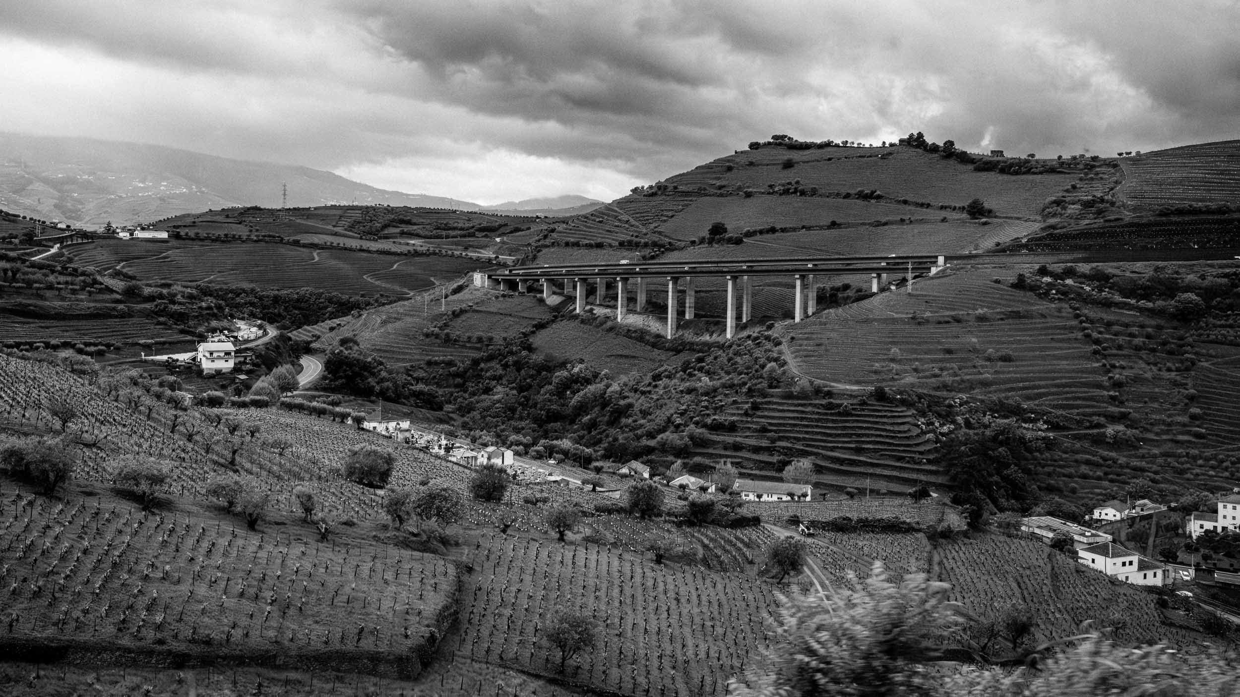 The Douro Valley 2 (NEW).jpg