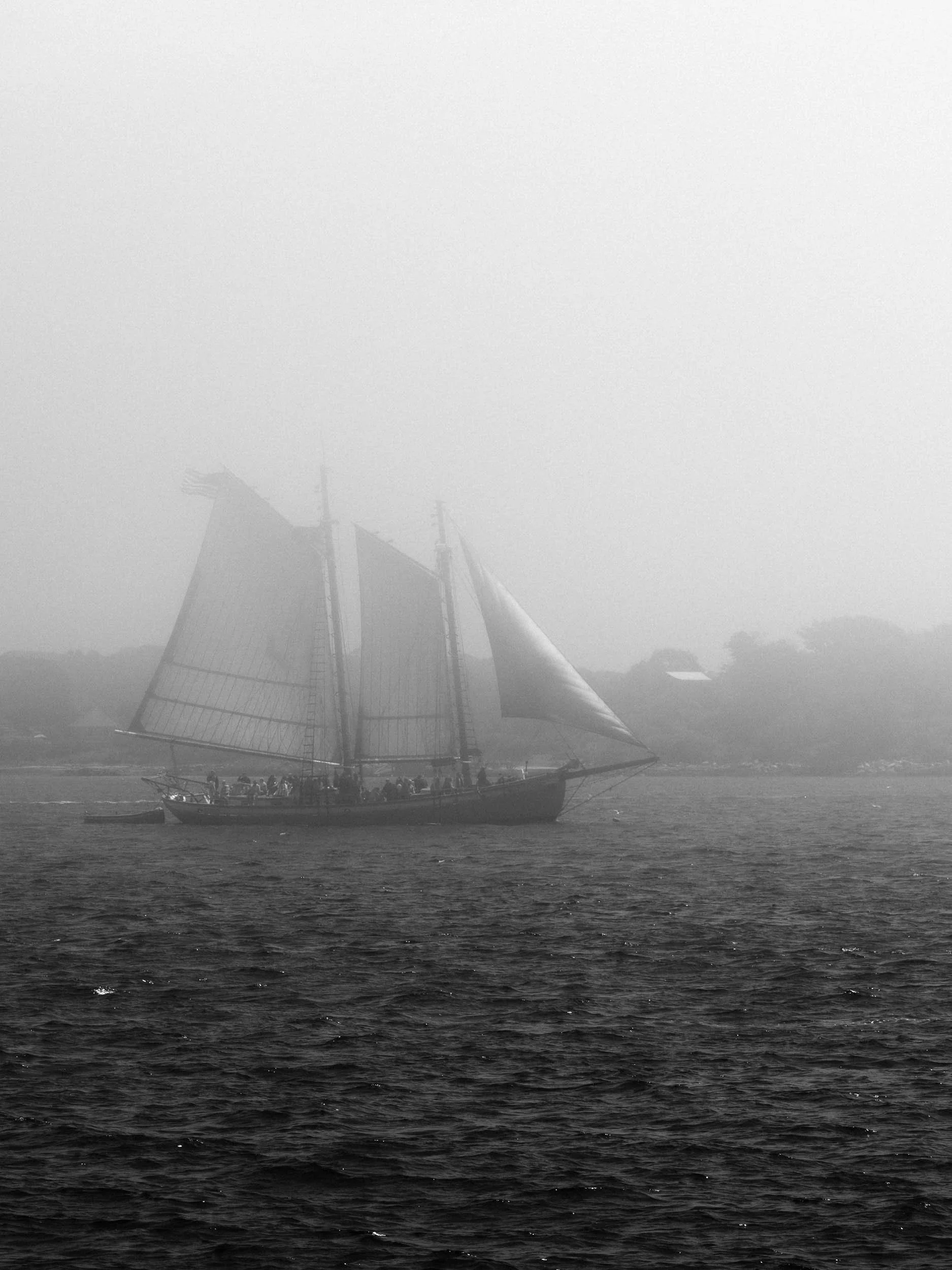 On a foggy sea-3.jpg